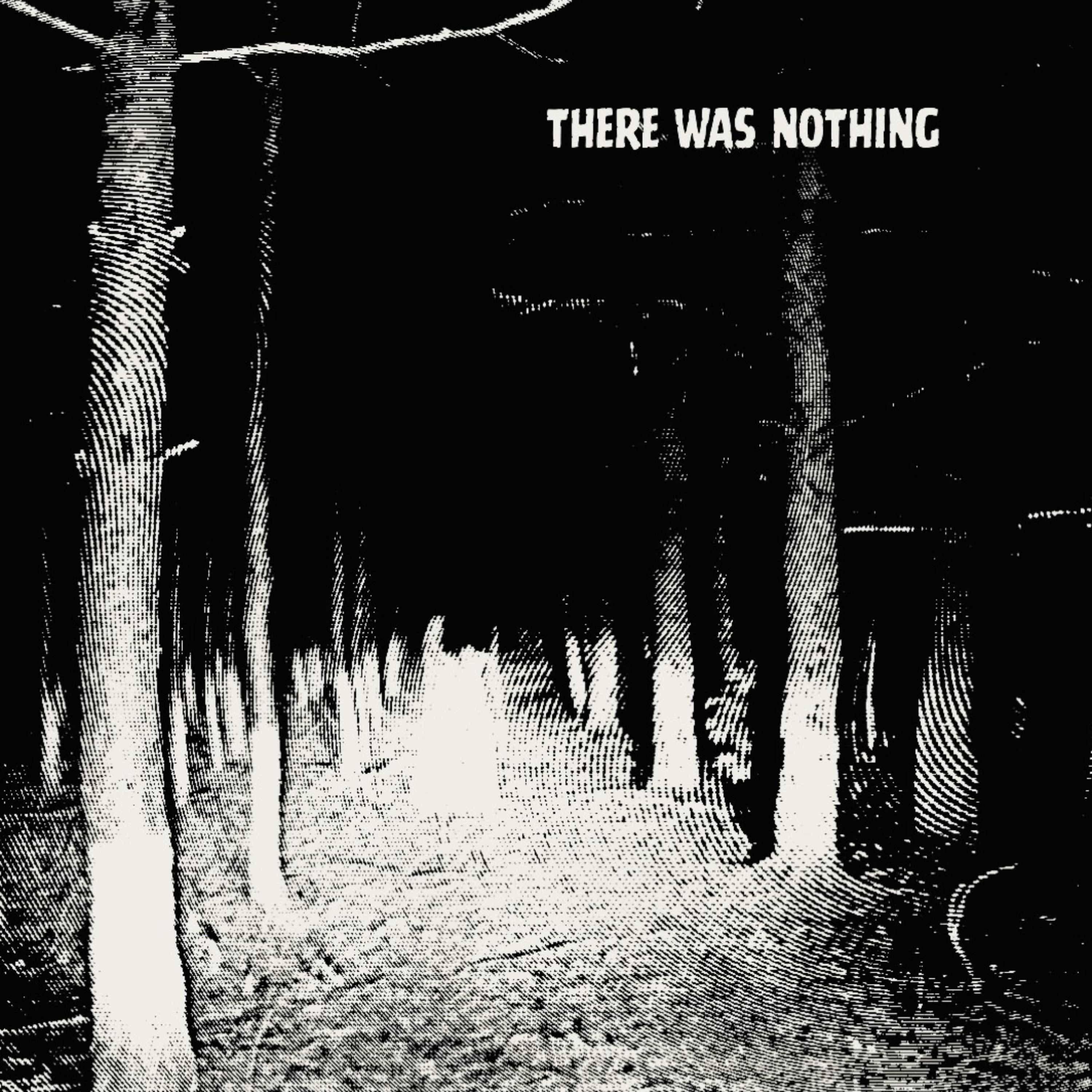 THERE WAS NOTHING artwork