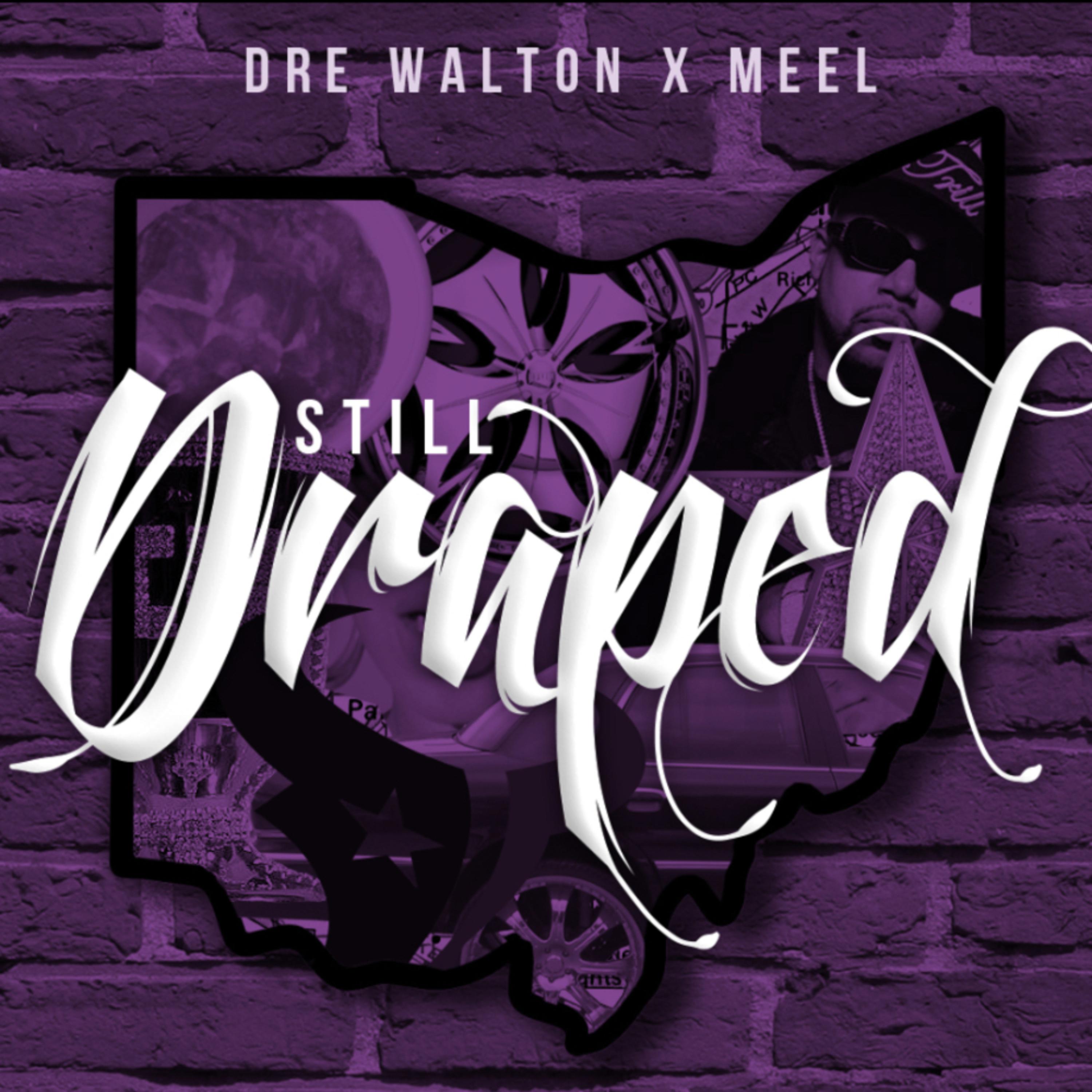 Still Draped artwork