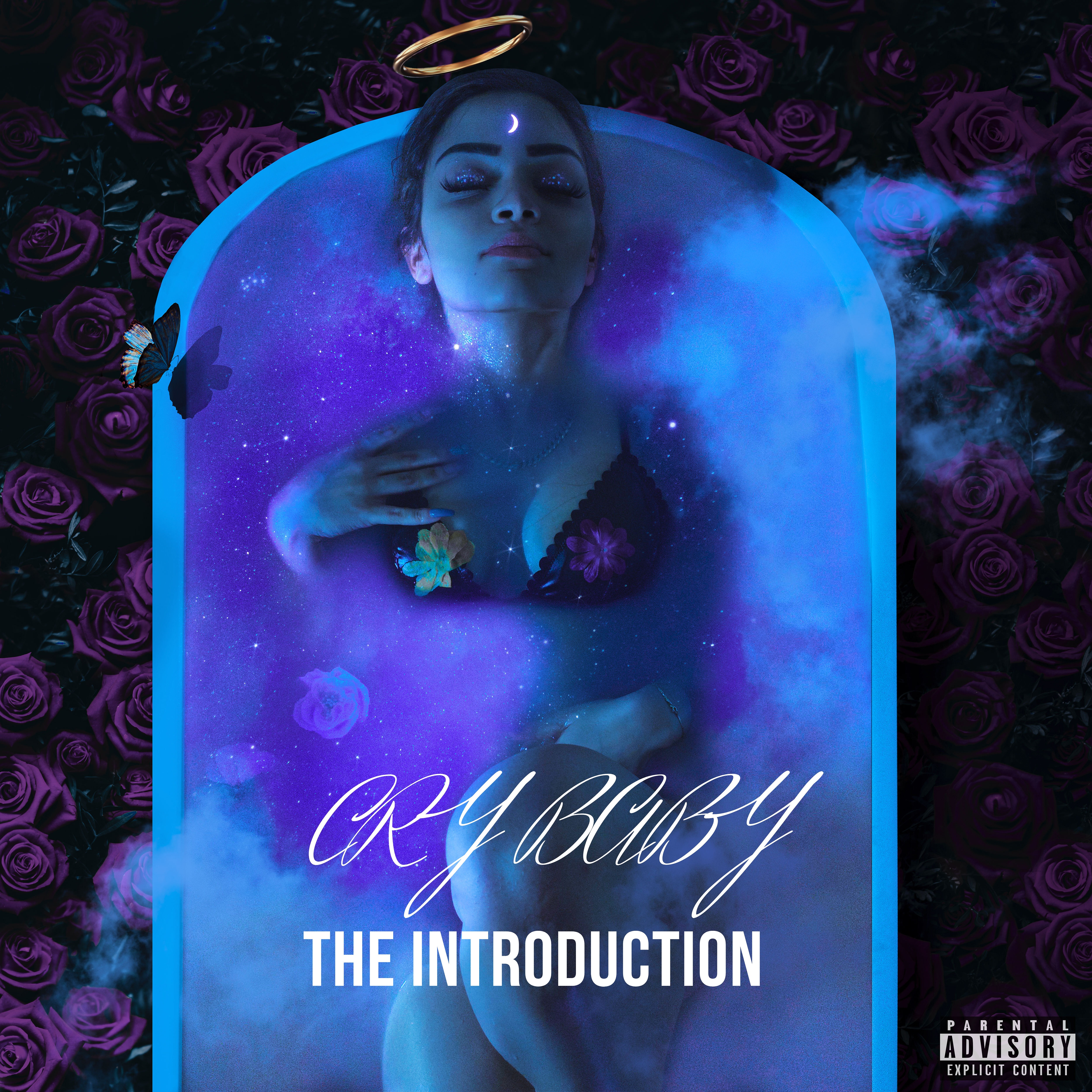 The Introduction artwork