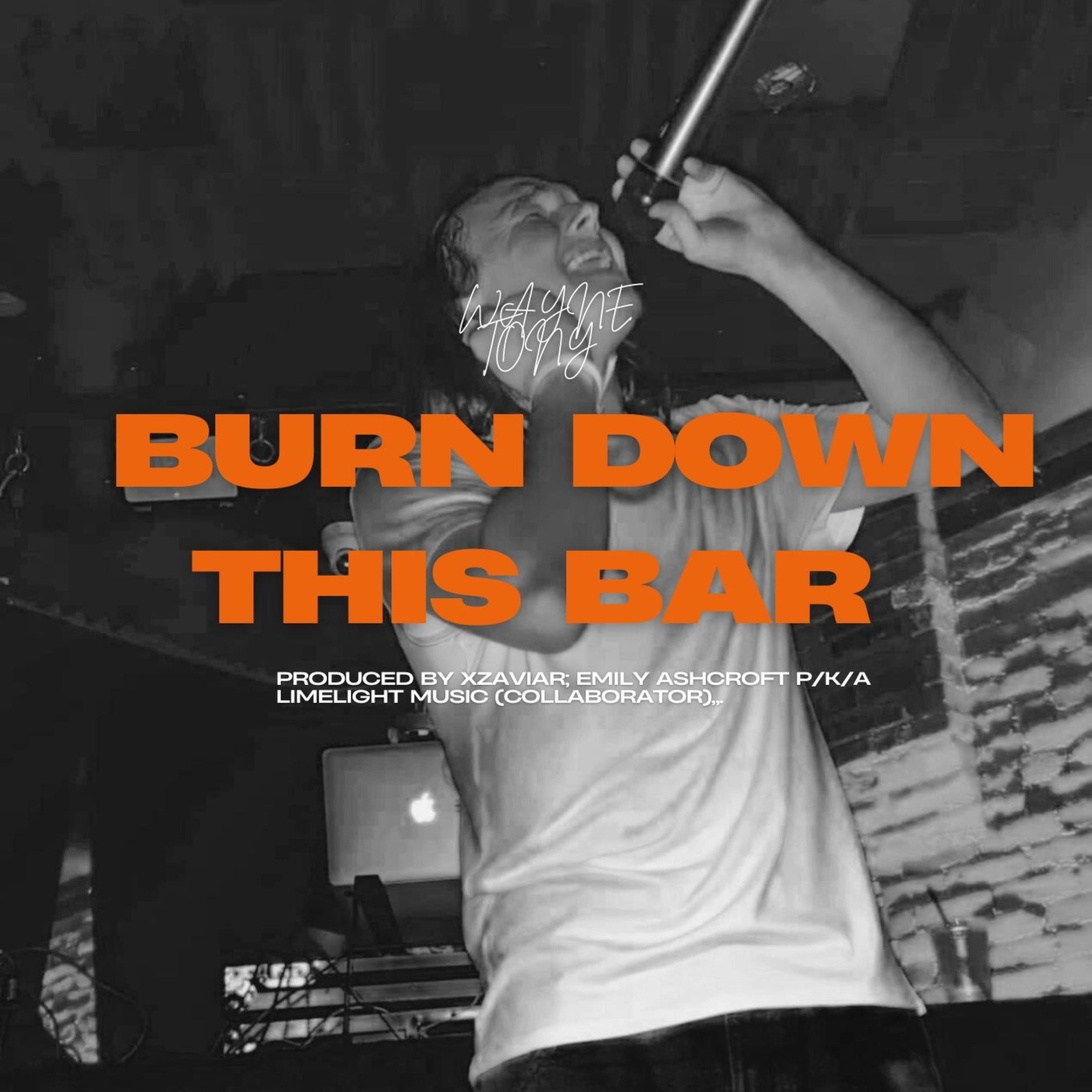 BURN DOWN THIS BAR artwork