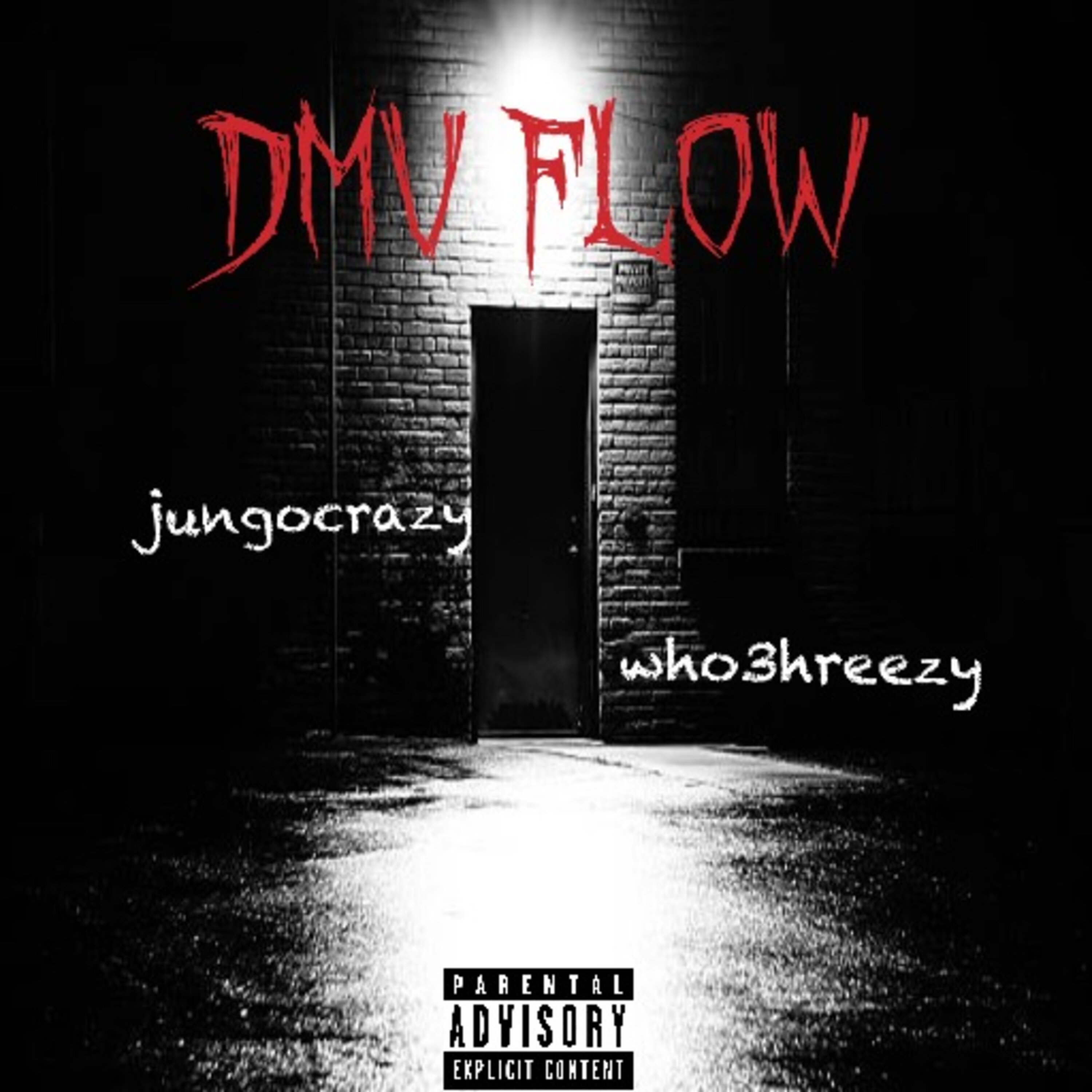 Dmv Flow artwork