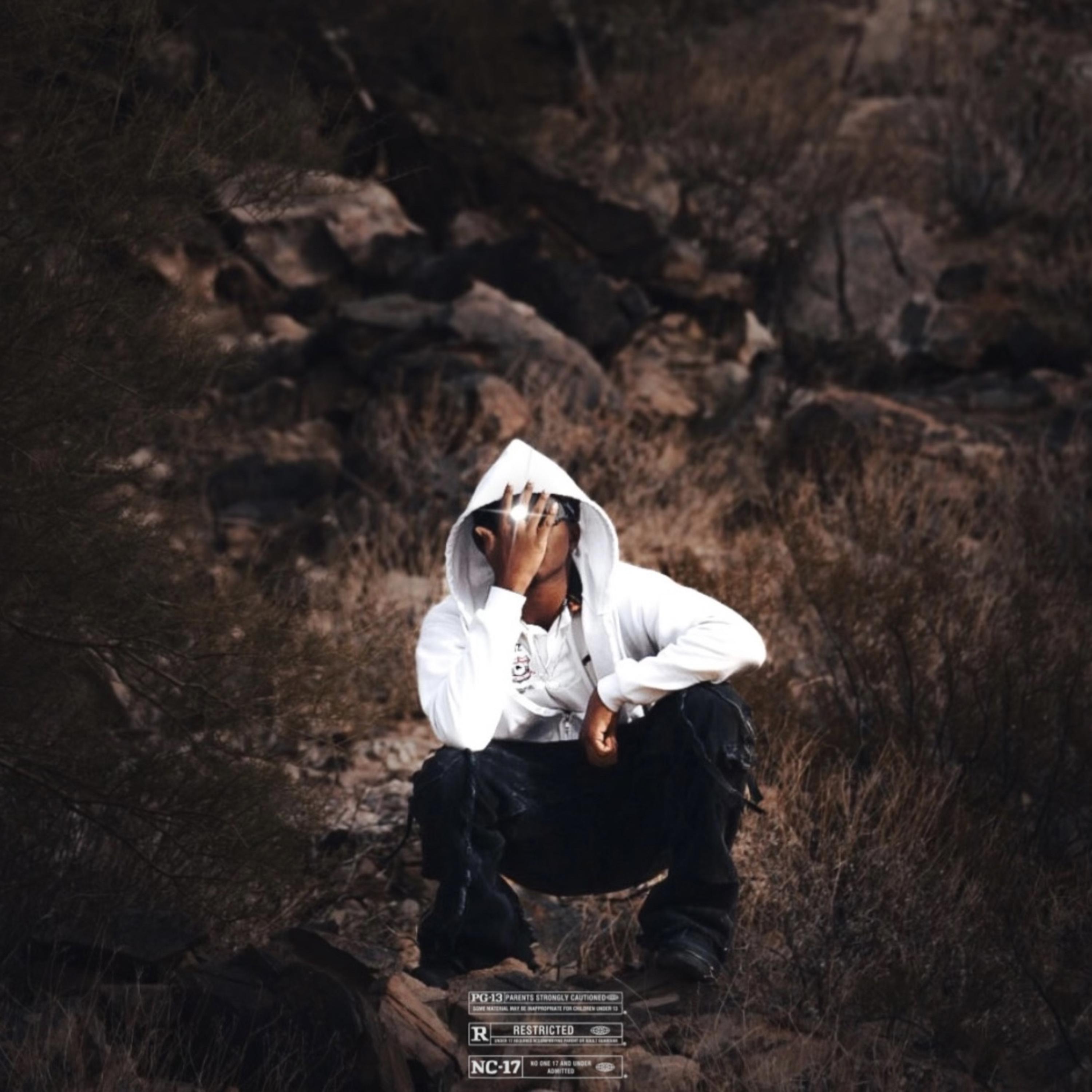 SLUT BIH artwork