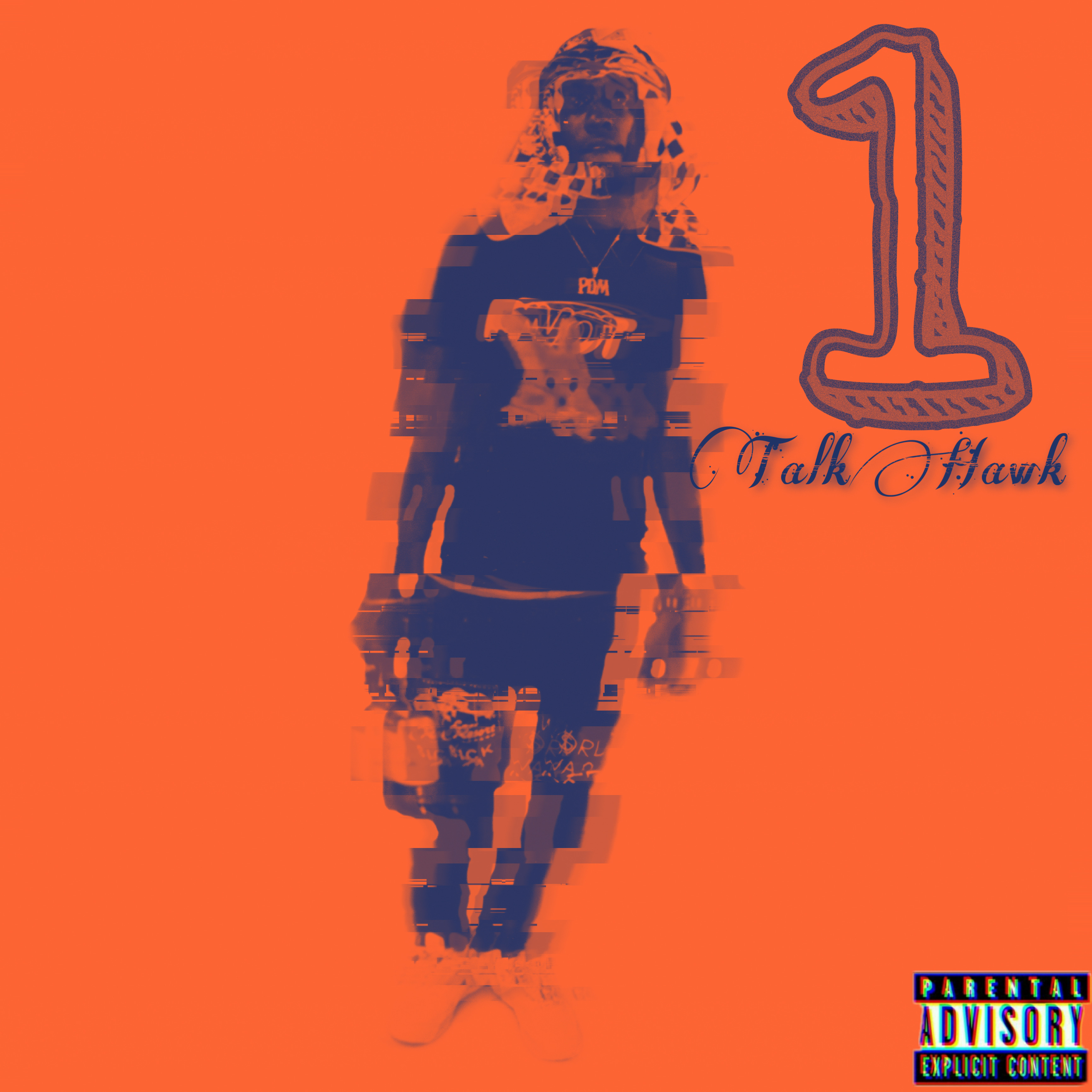1 Talk Hawk by Stoney Hawk cover art