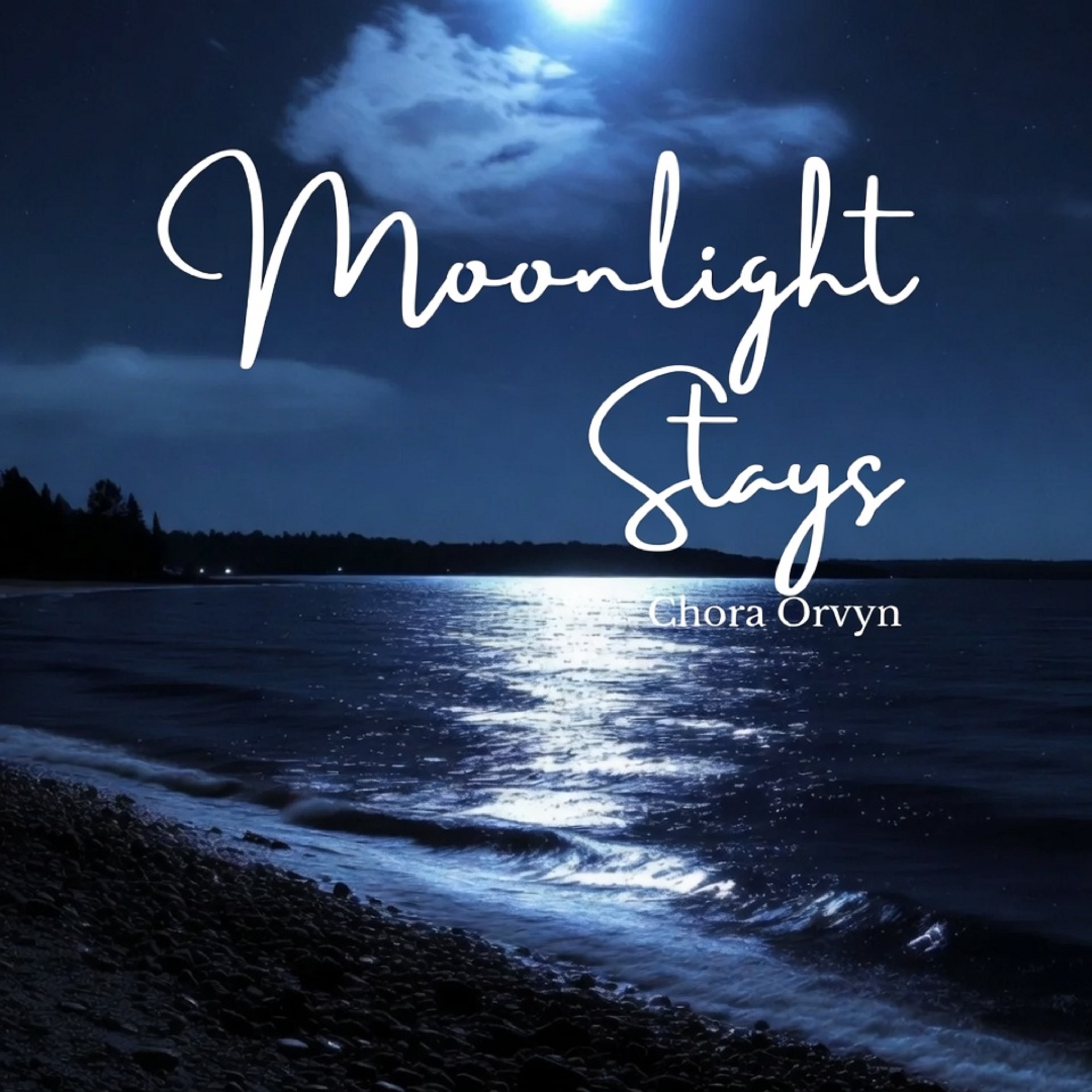 Moonlight Stays artwork