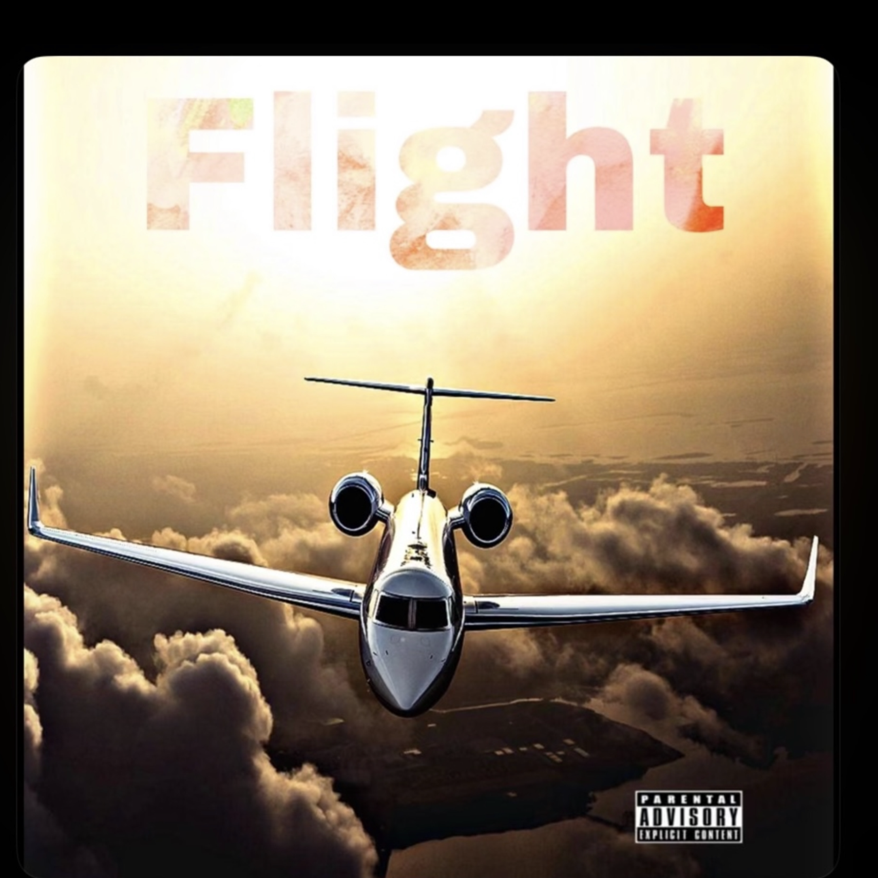 Flight artwork