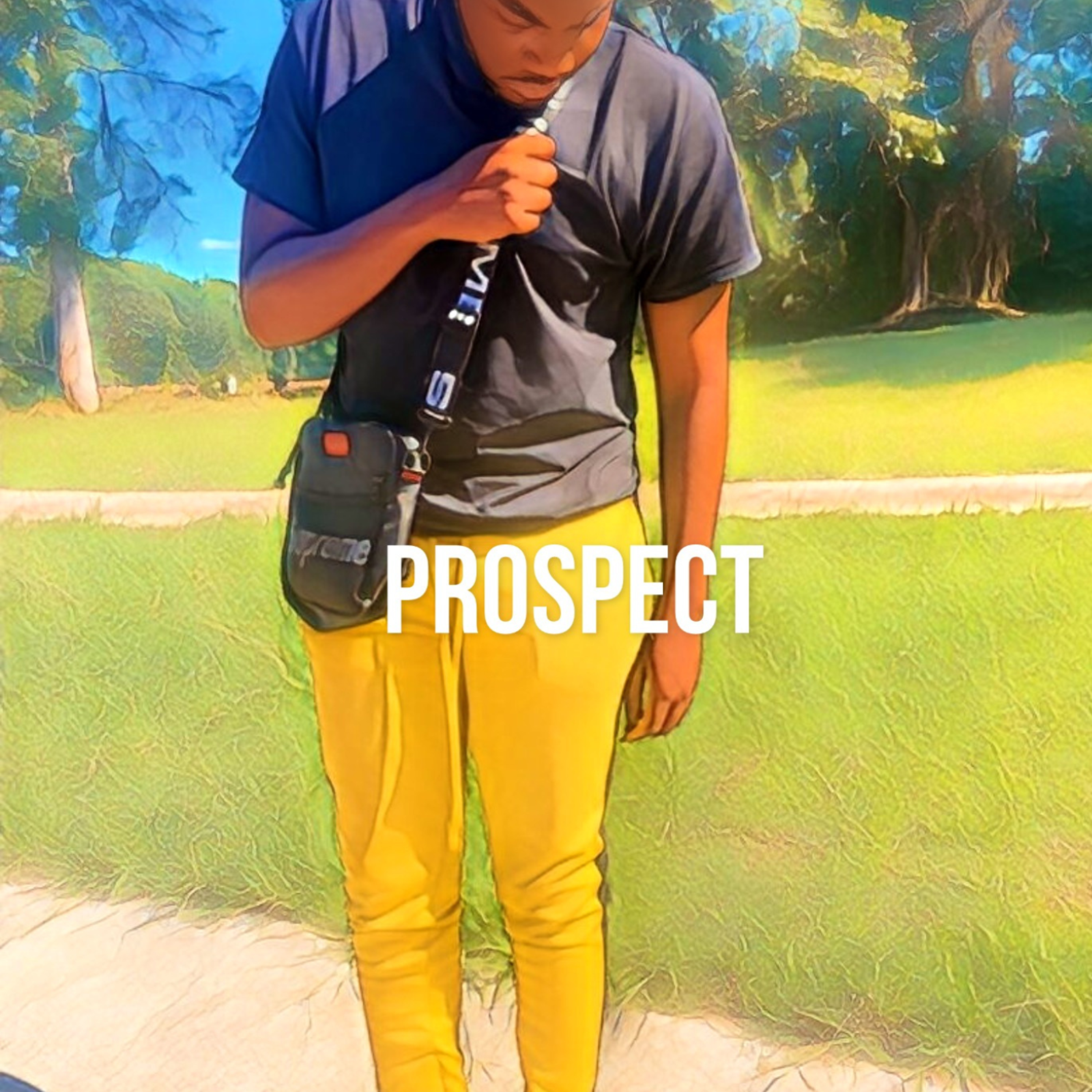 Prospect artwork