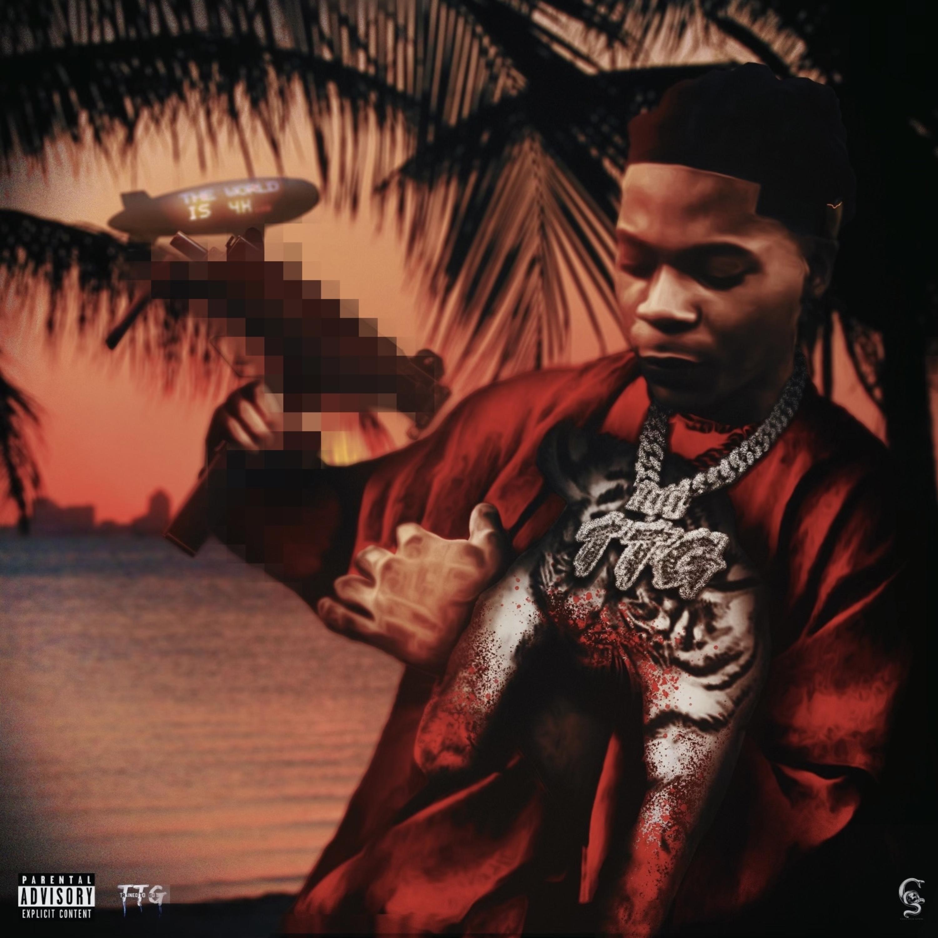 TONY G TANA II ( The World Is 4K ) by Tony Snow cover art