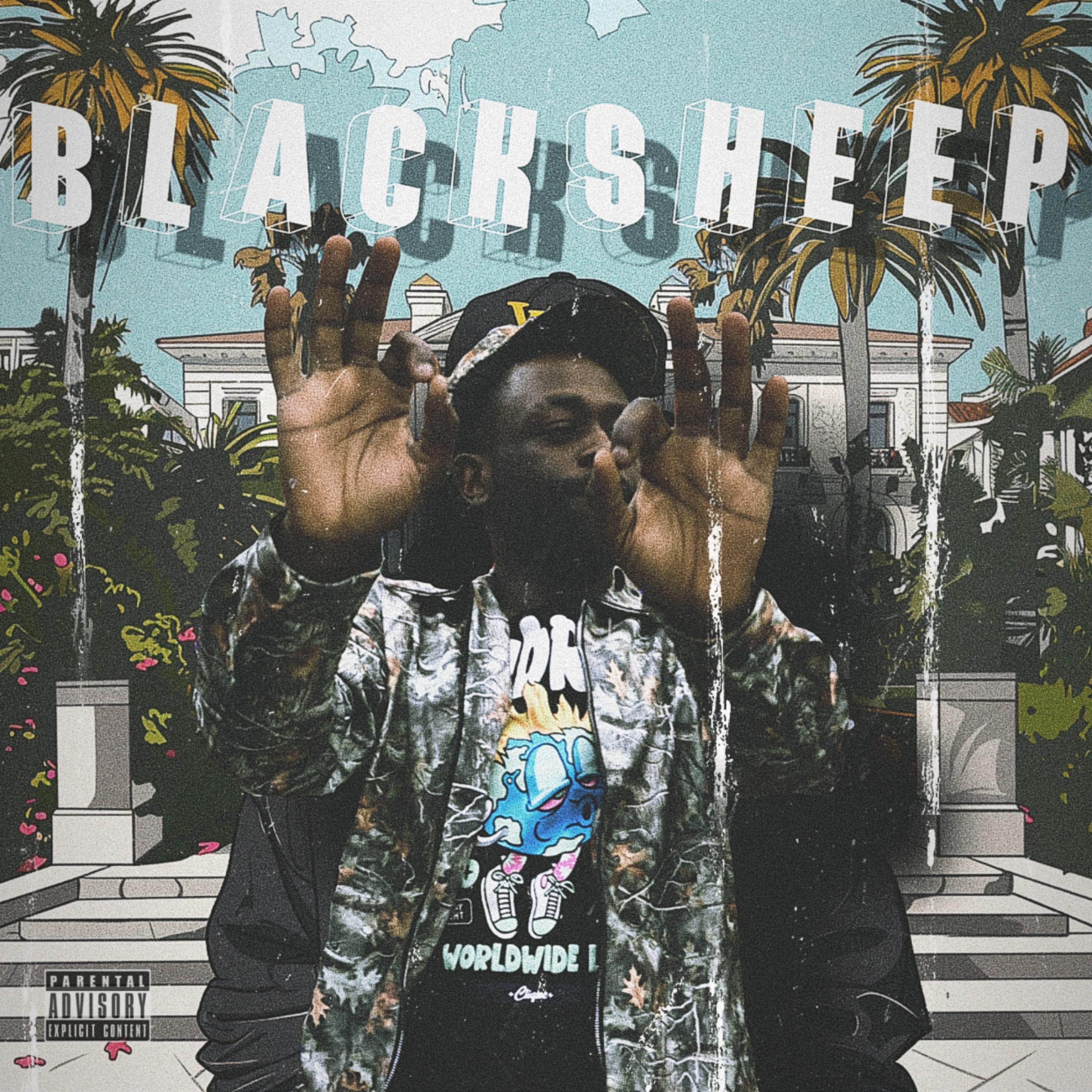 BlackSheep artwork