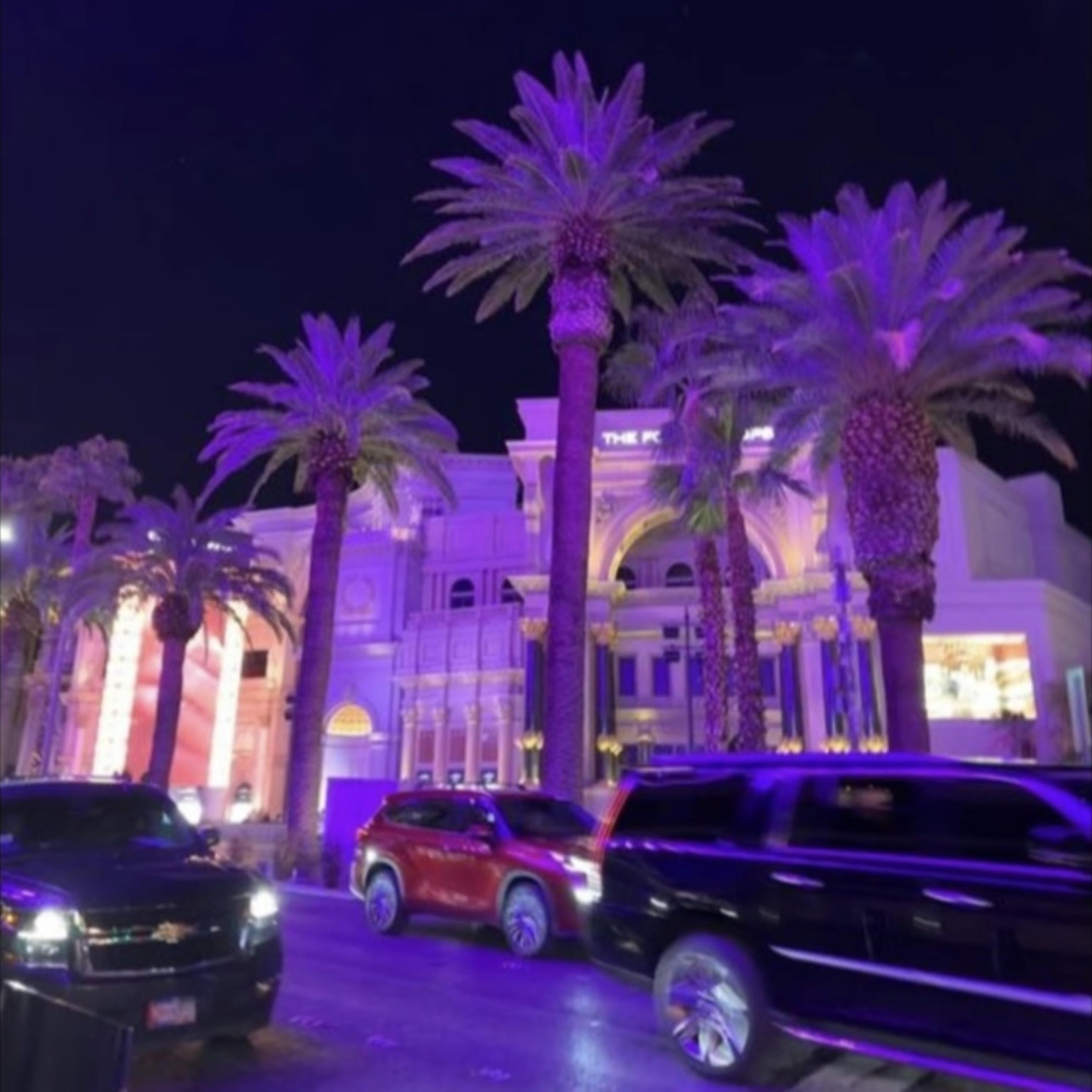 purple palm treez artwork