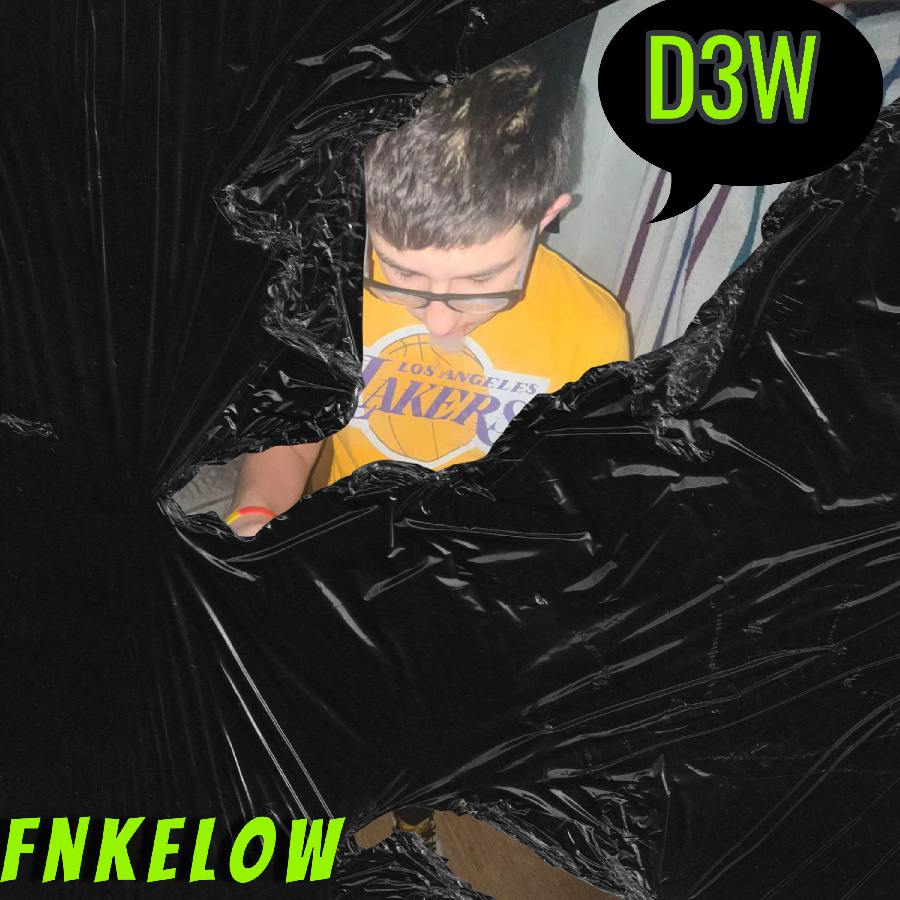 D3W artwork