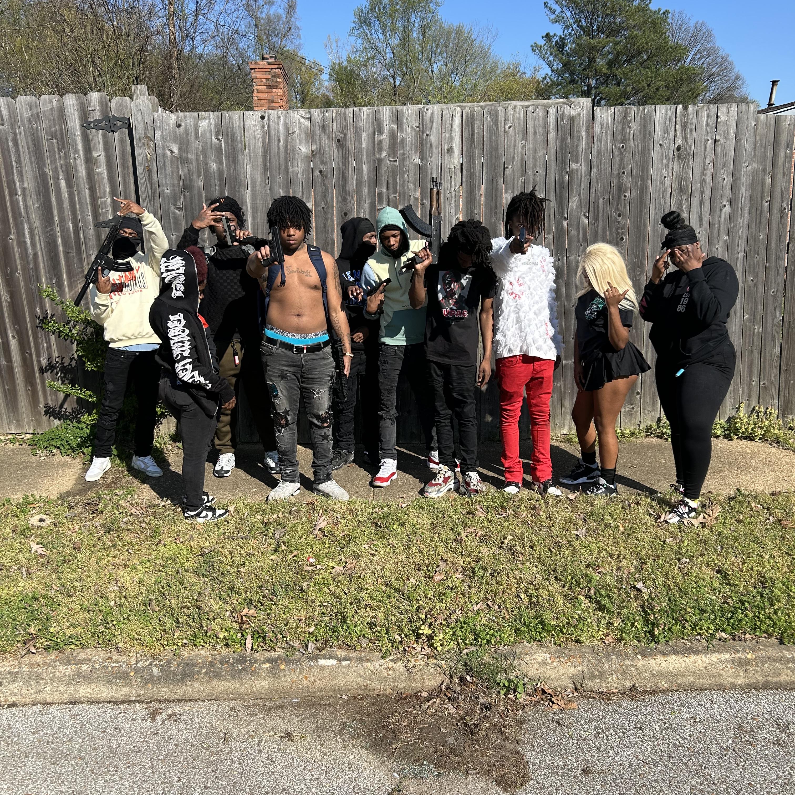 All My Members artwork