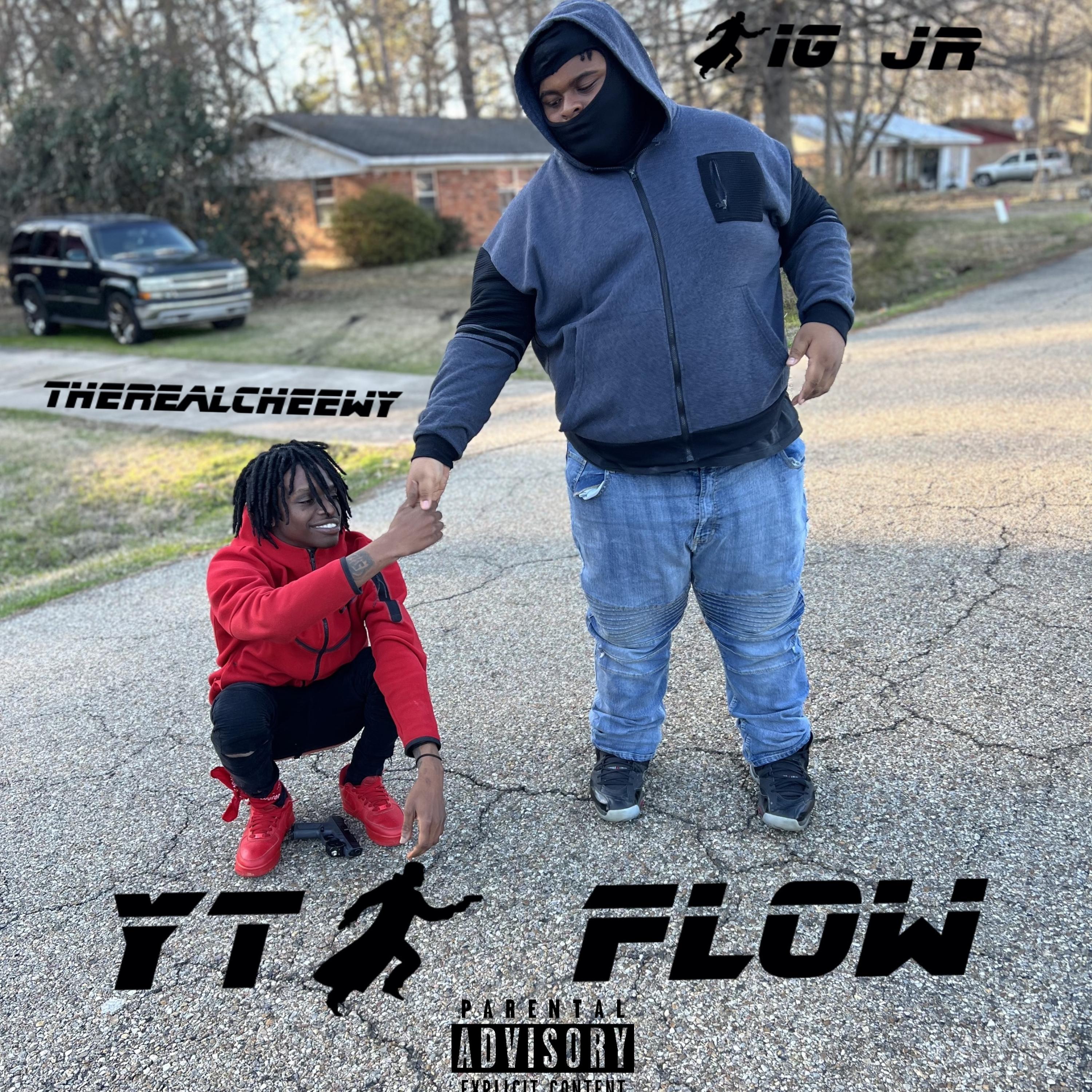 YTB Flow artwork
