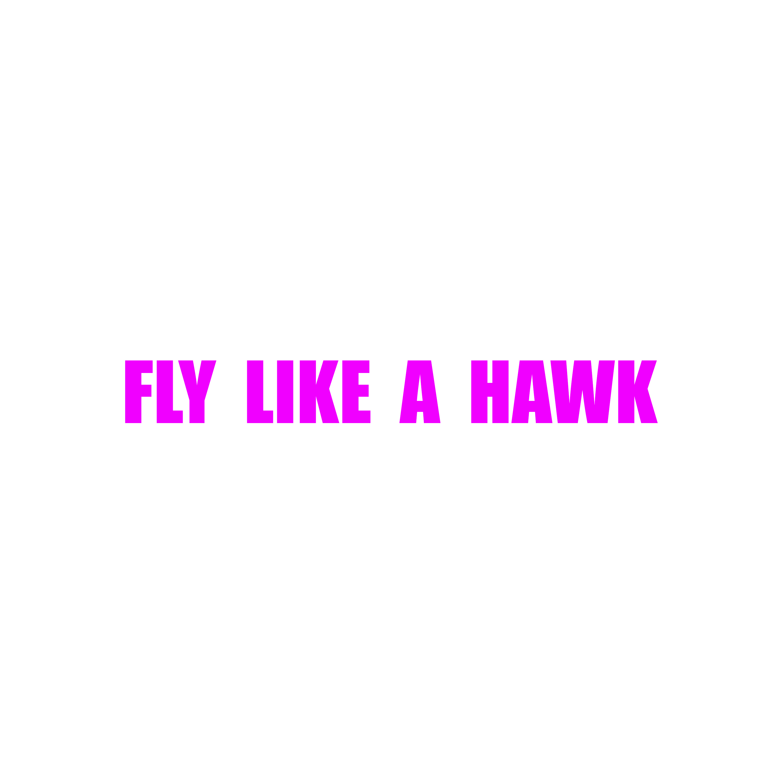 FLY LIKE A HAWK (SLOWED) artwork