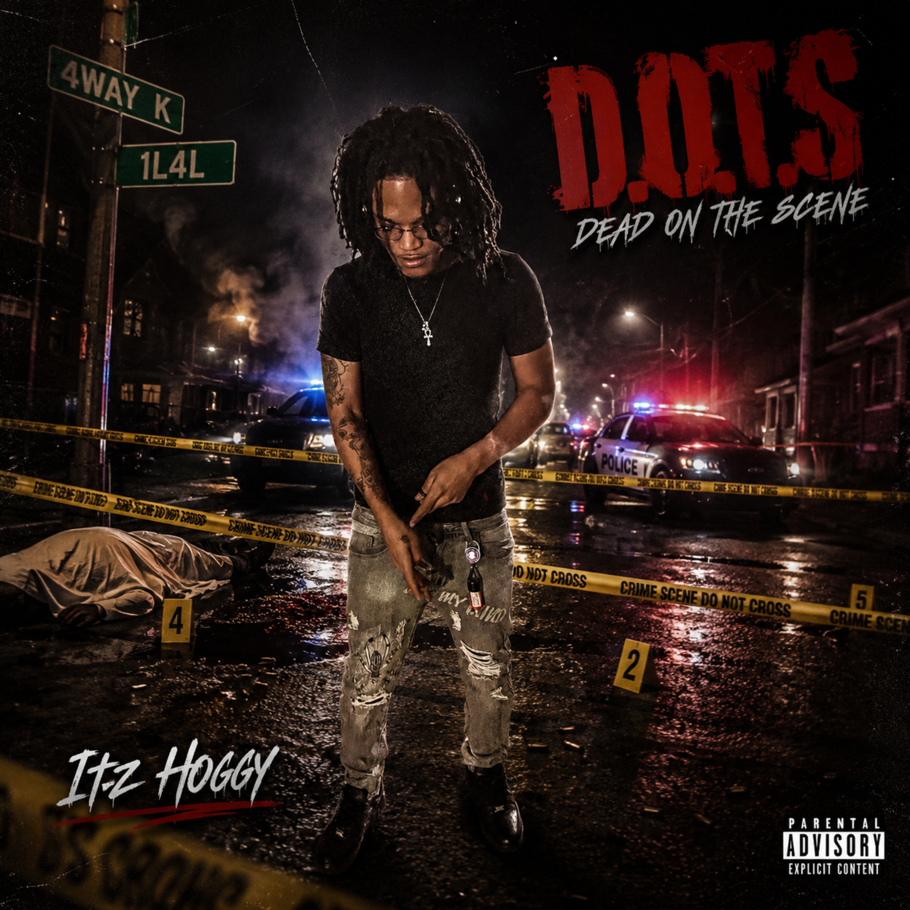 D.O.T.S by Itz Hoggy cover art