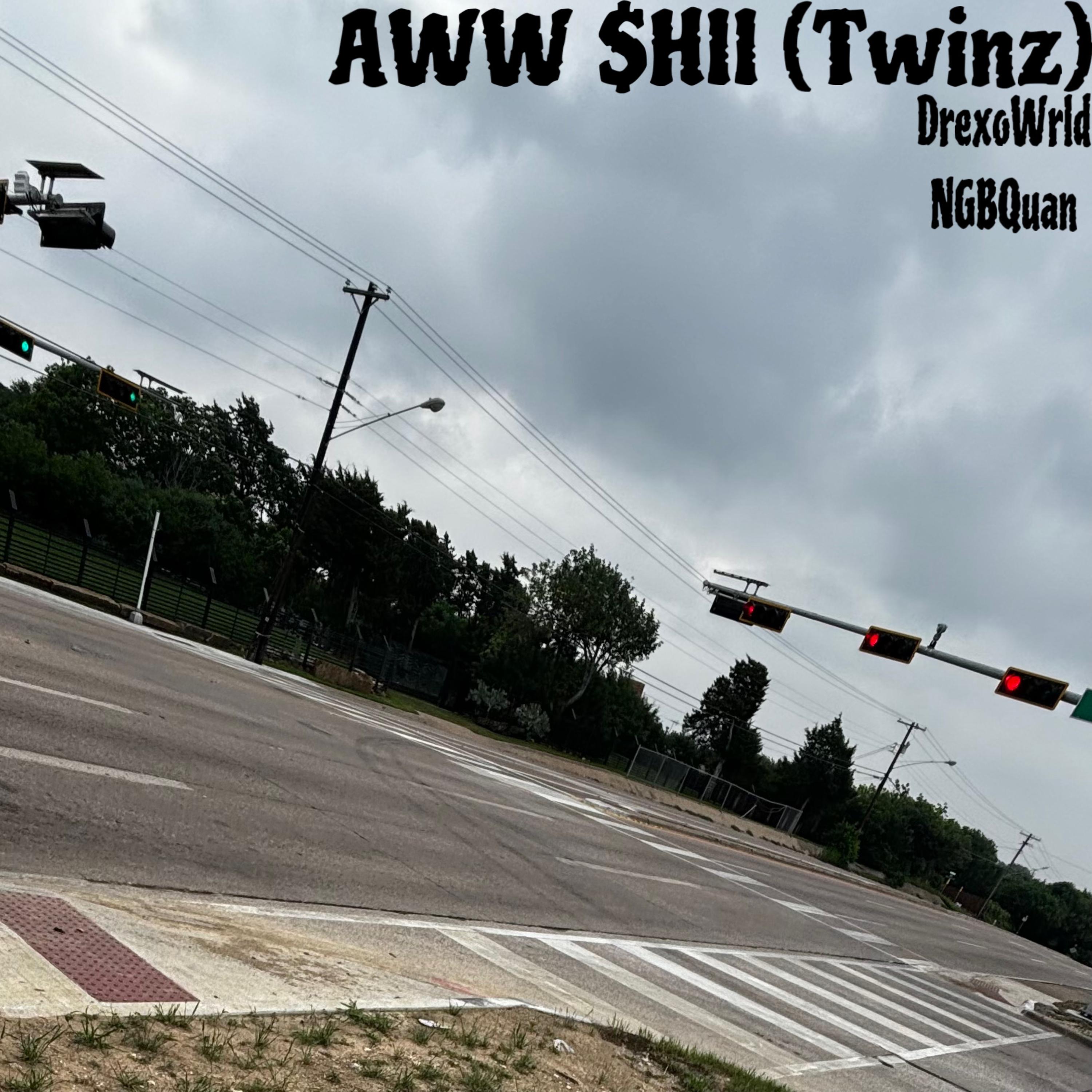 AWW $HII (Twinz) artwork