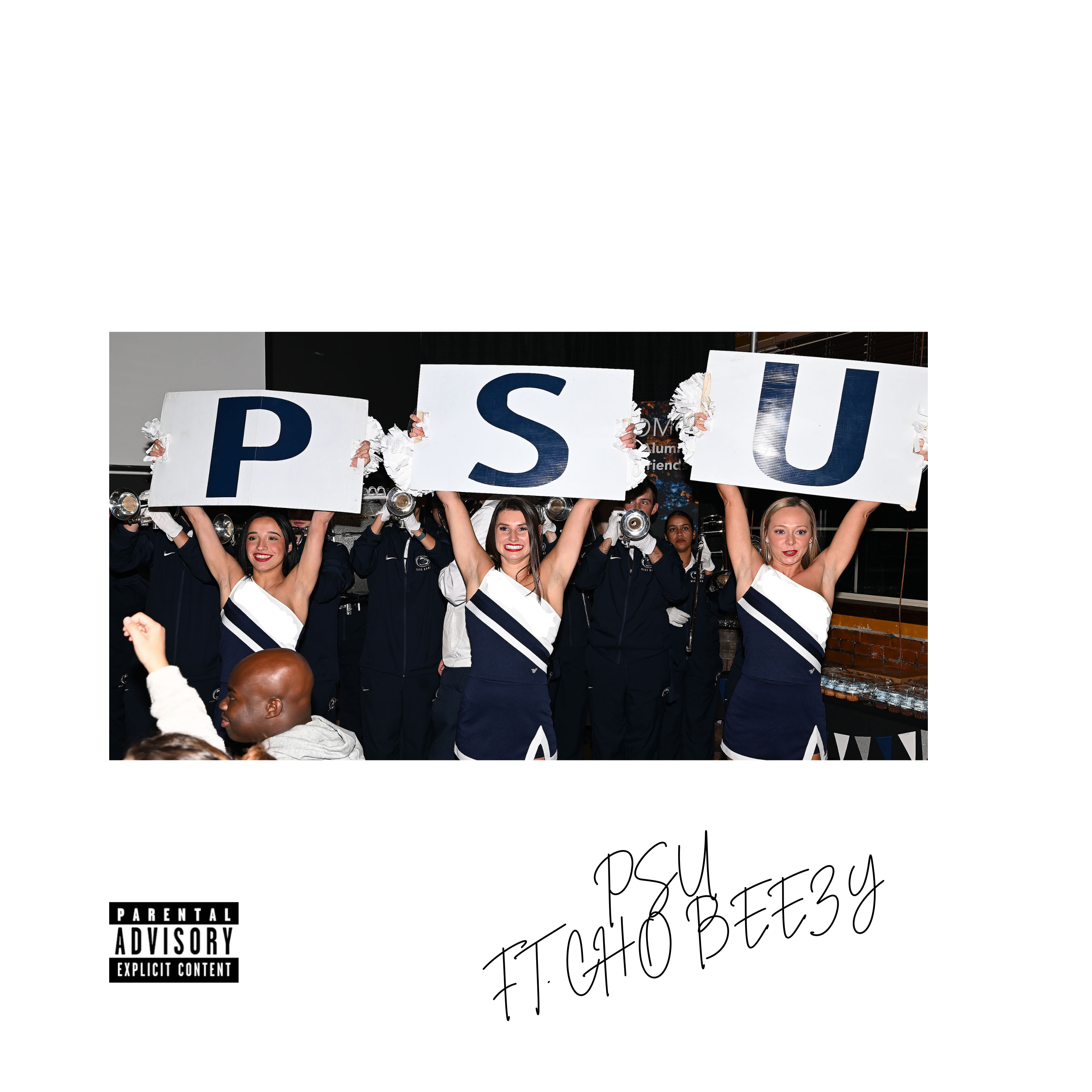 PSU (Remix) artwork