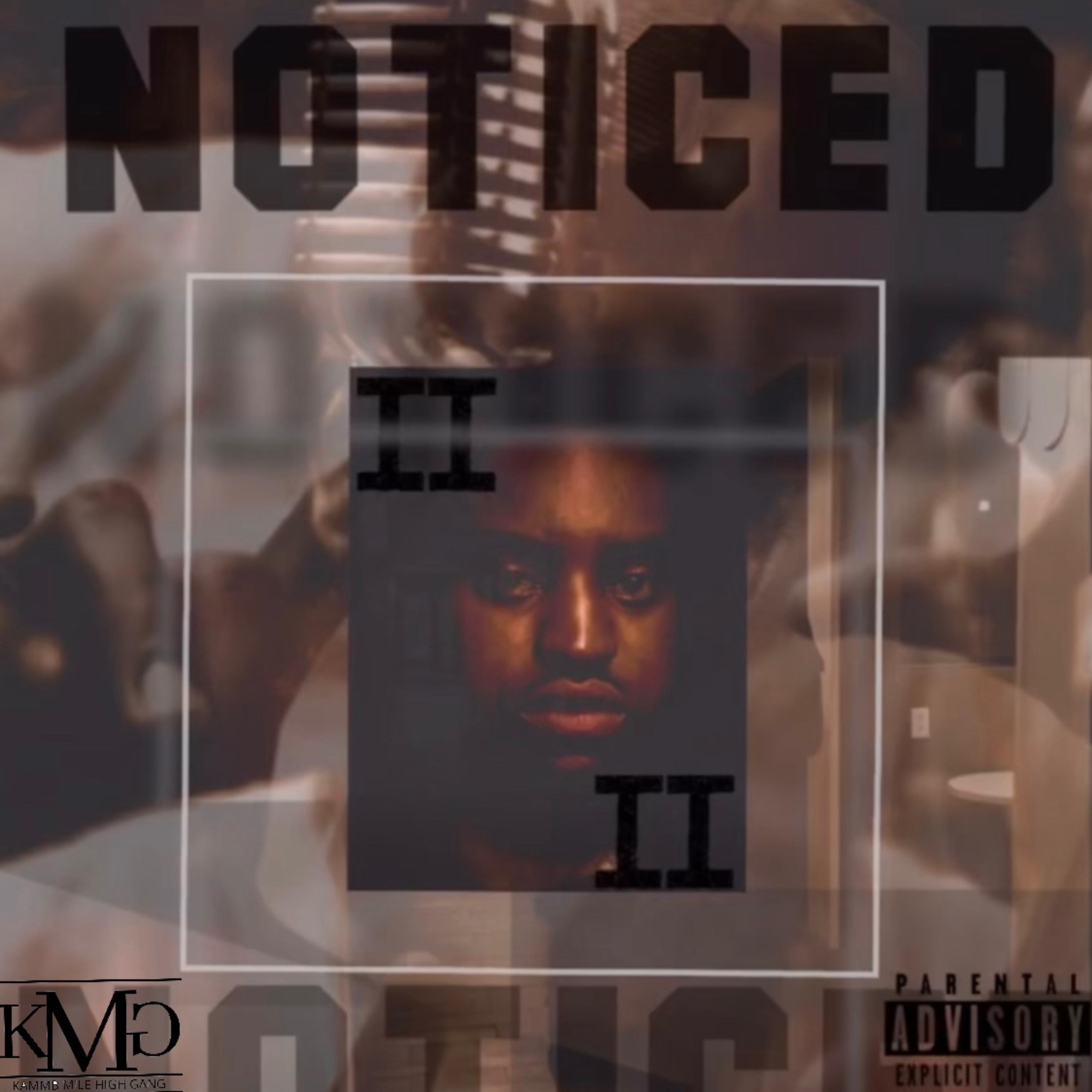 Noticed II artwork
