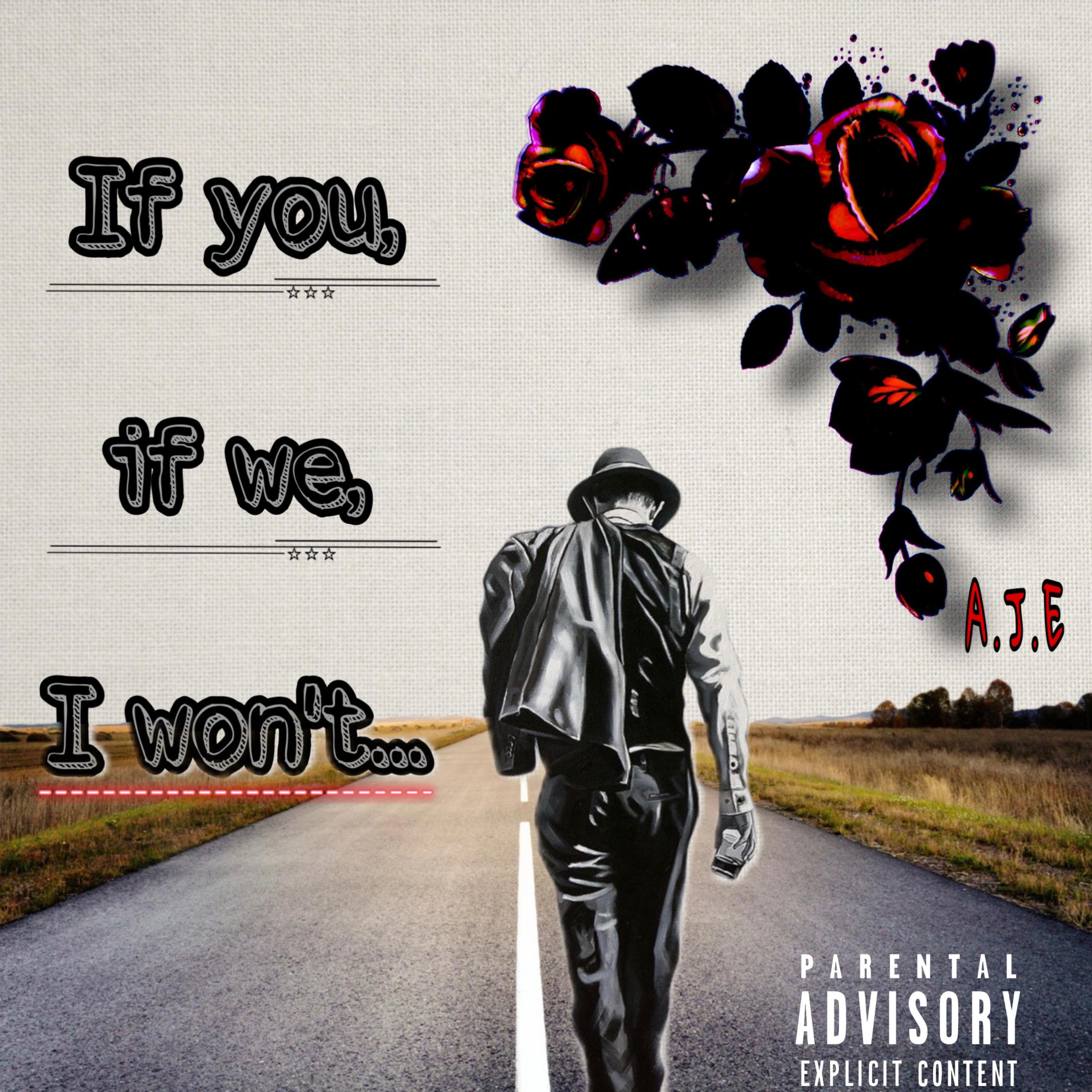 If You, If We, I Wont... artwork