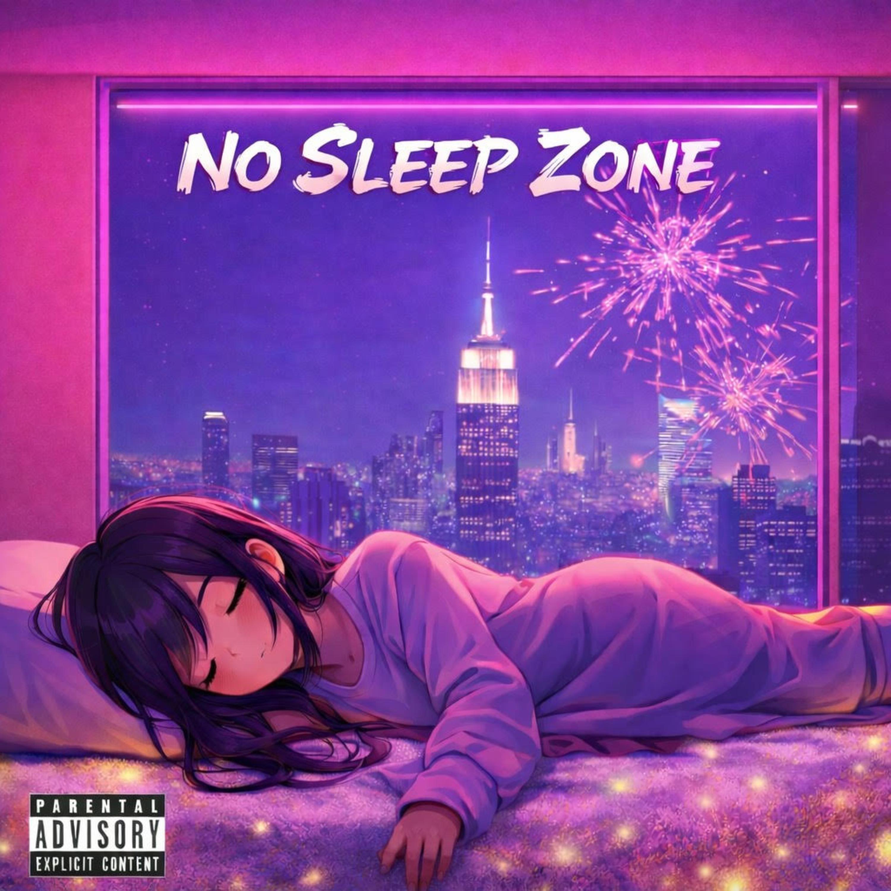 NO SLEEP ZONE artwork