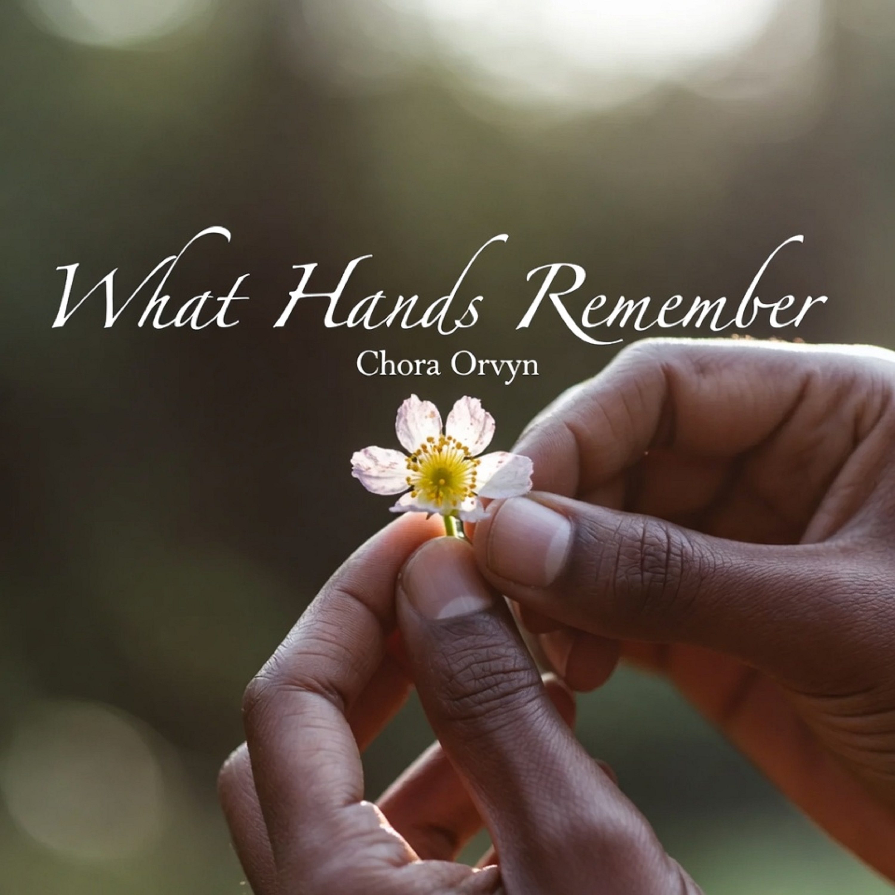 What Hands Remember artwork