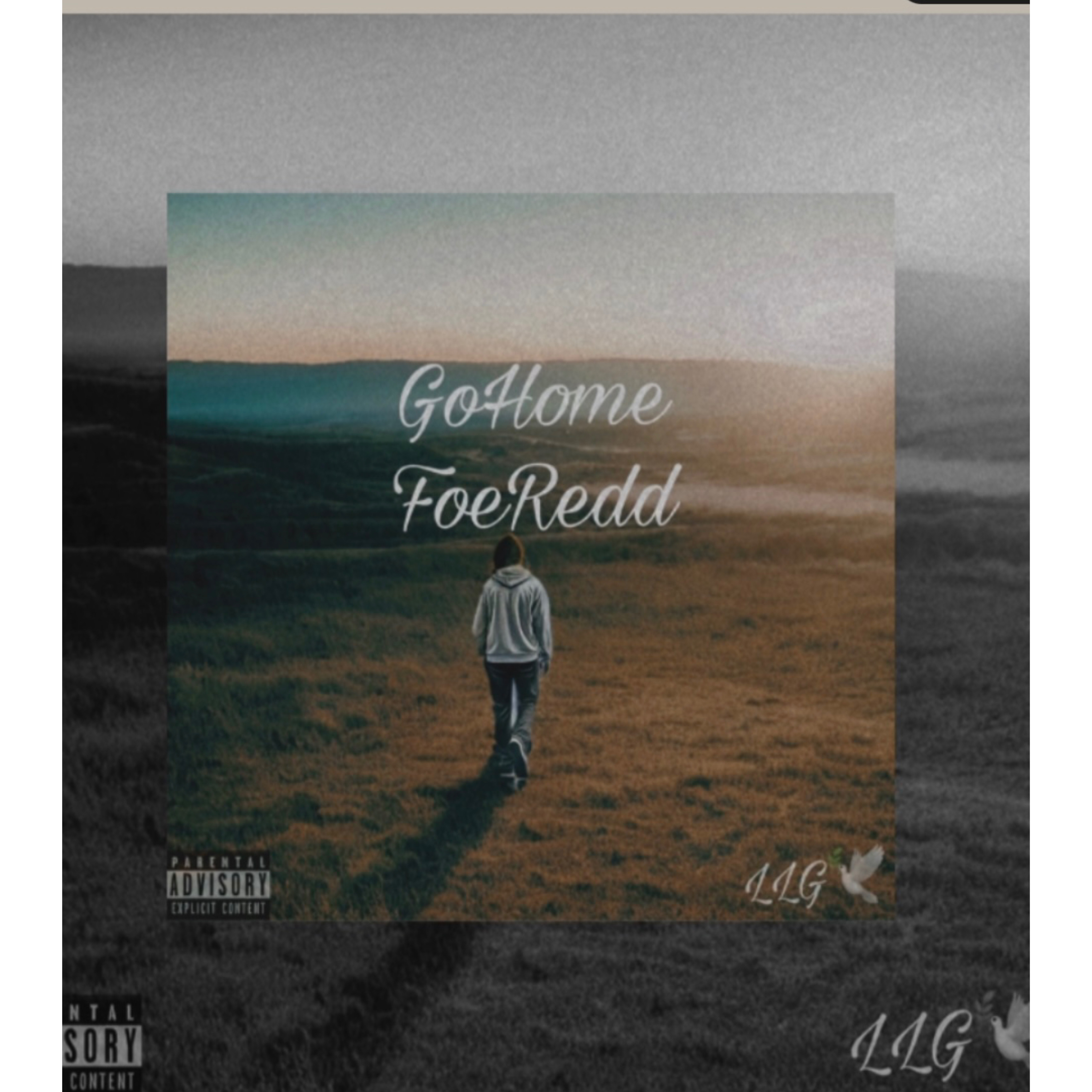 GoHome artwork