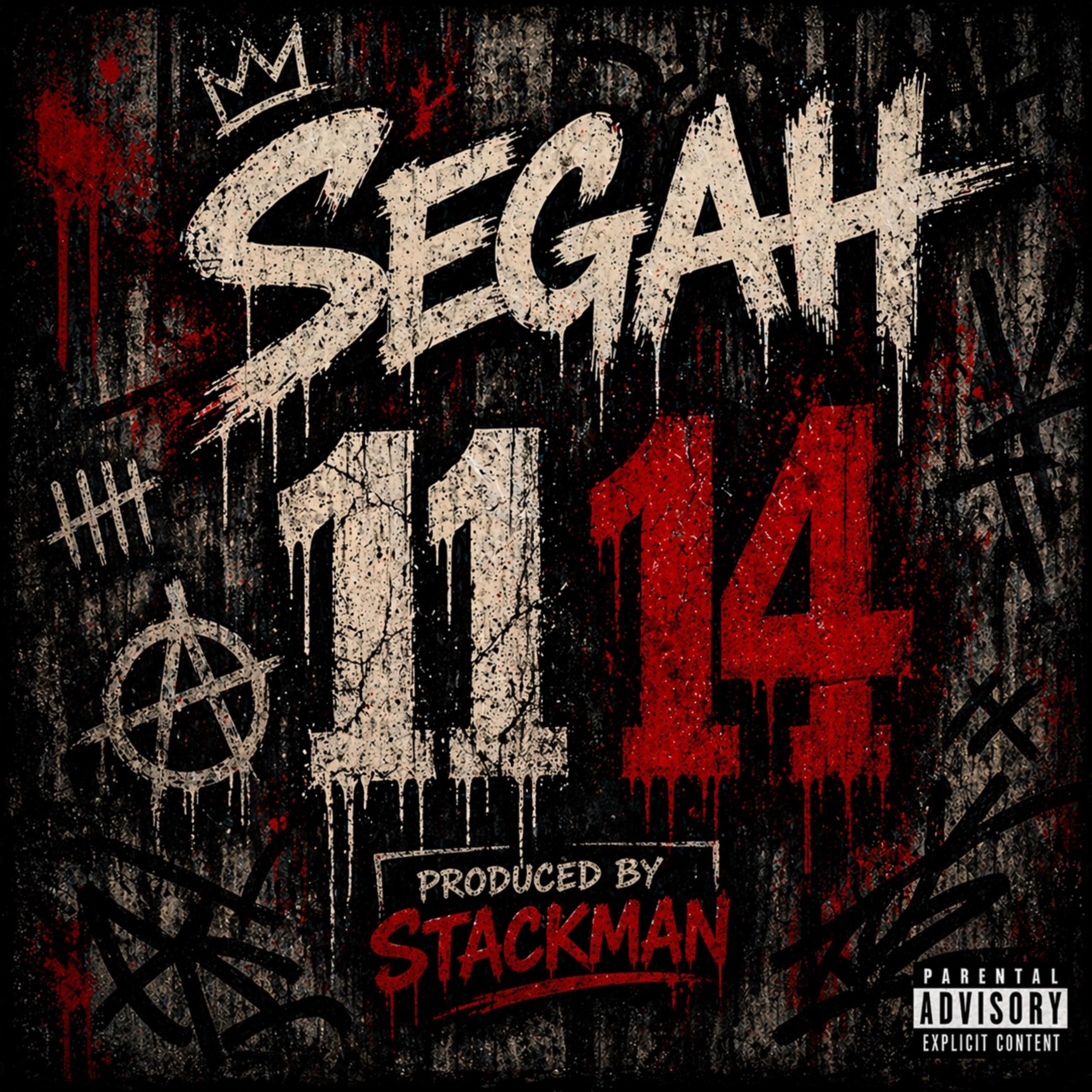 11 14 by Segah cover art