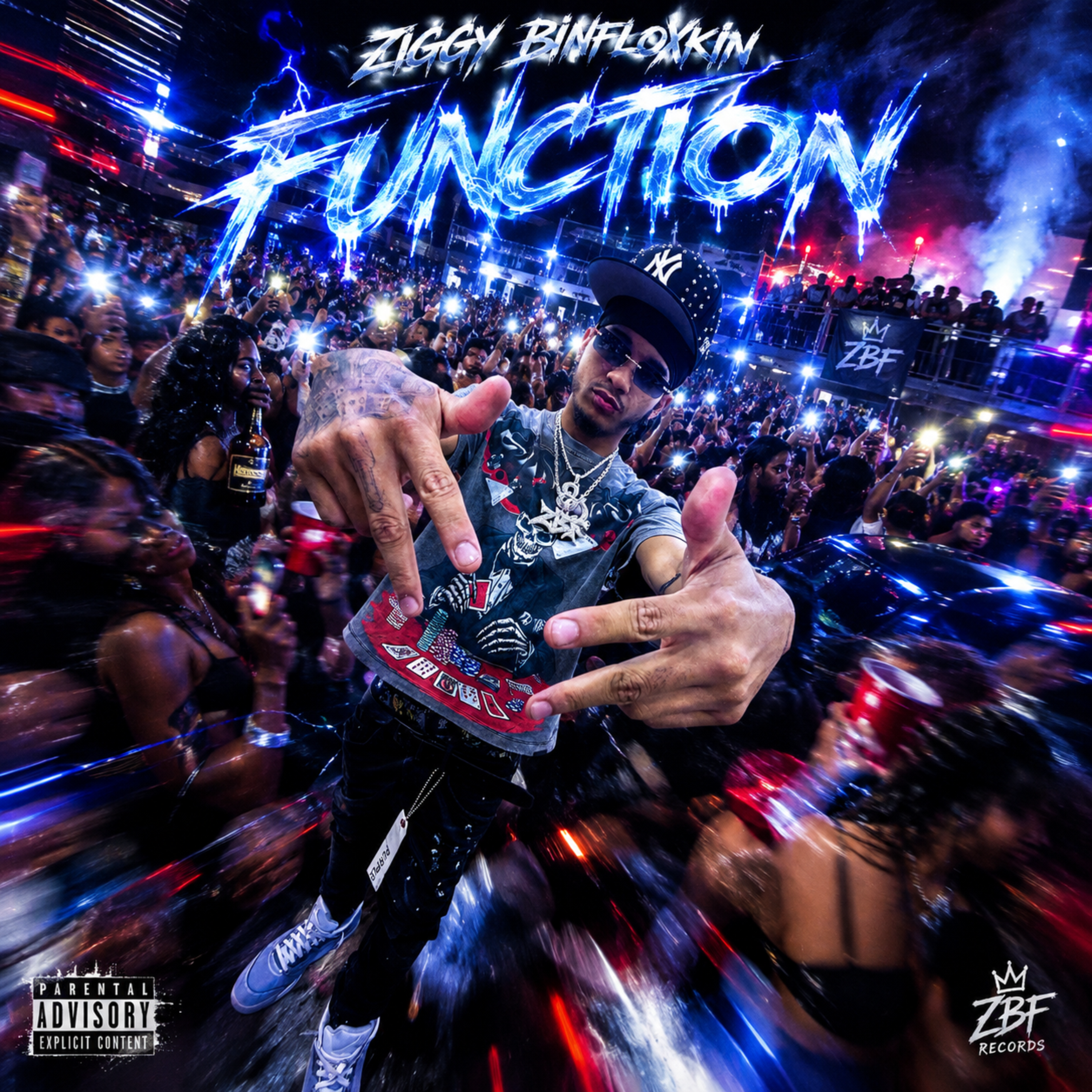 Function by Ziggy Binfloxkin cover art