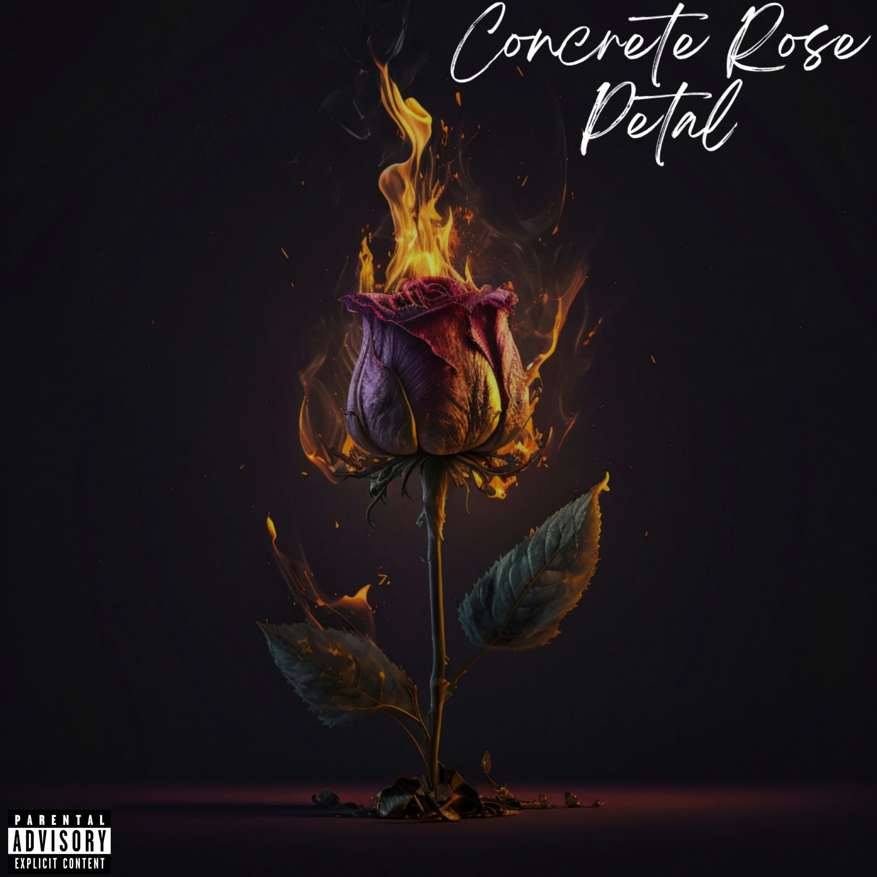 Concrete Rose Petal artwork