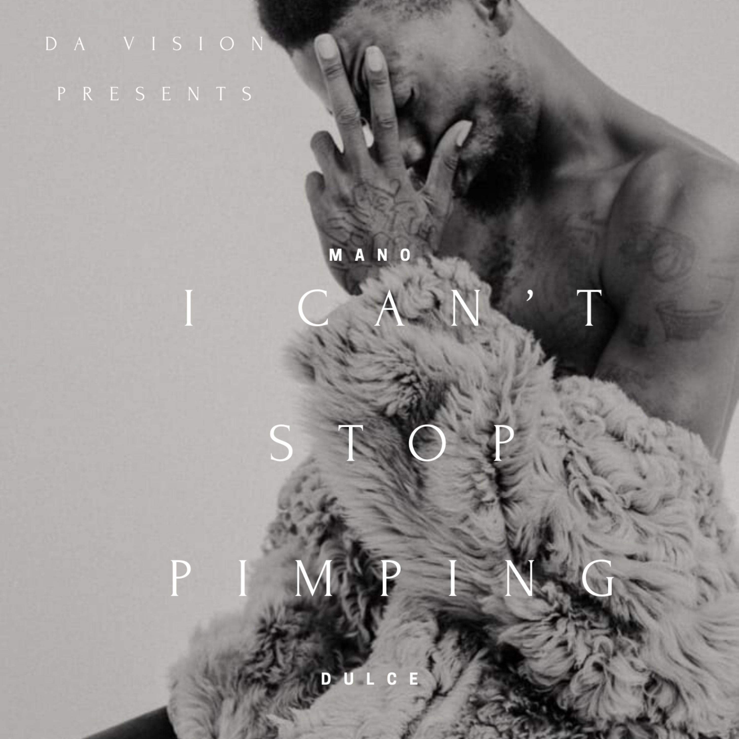 I Can't Stop Pimping artwork