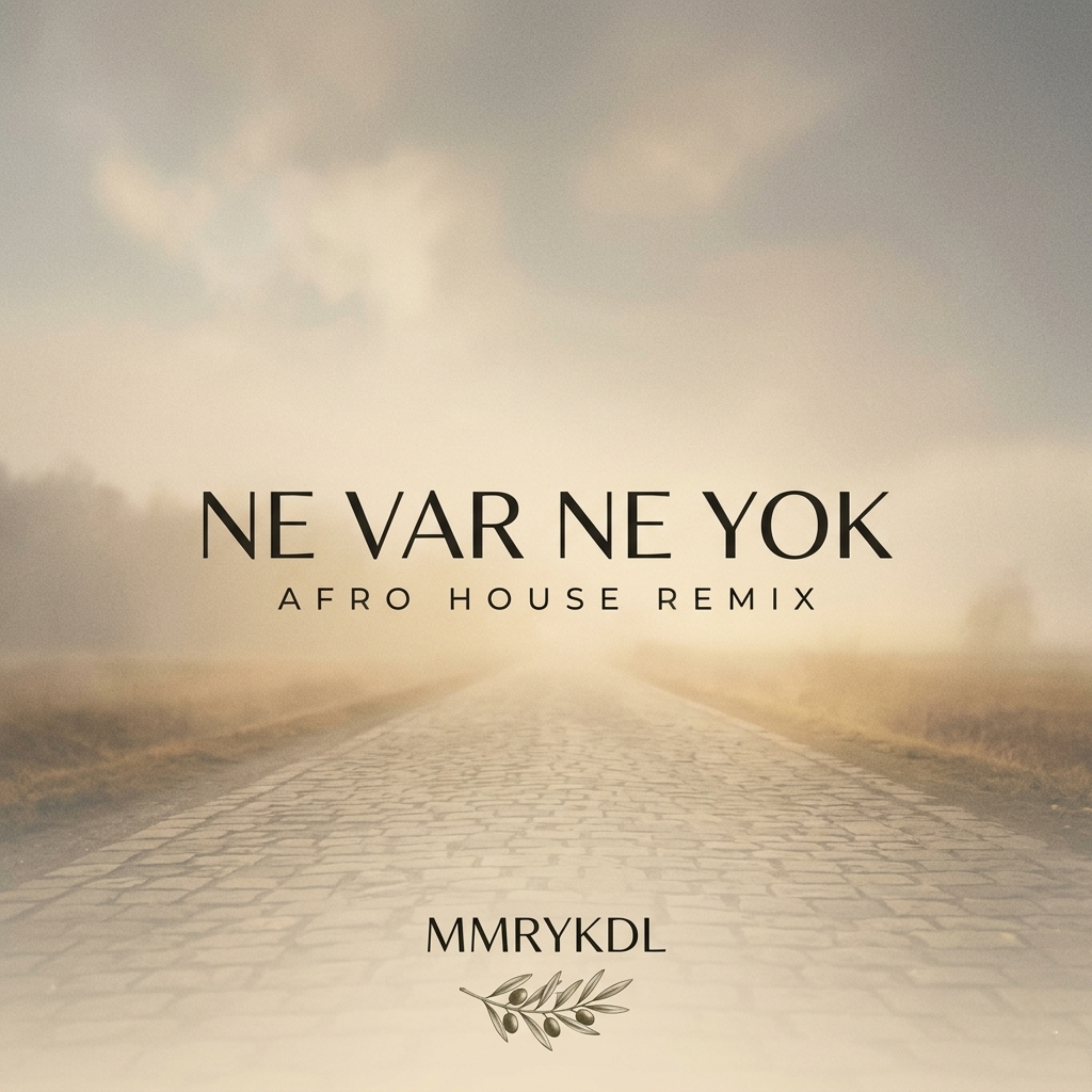 NE VAR NE YOK (Afro House Remix) artwork