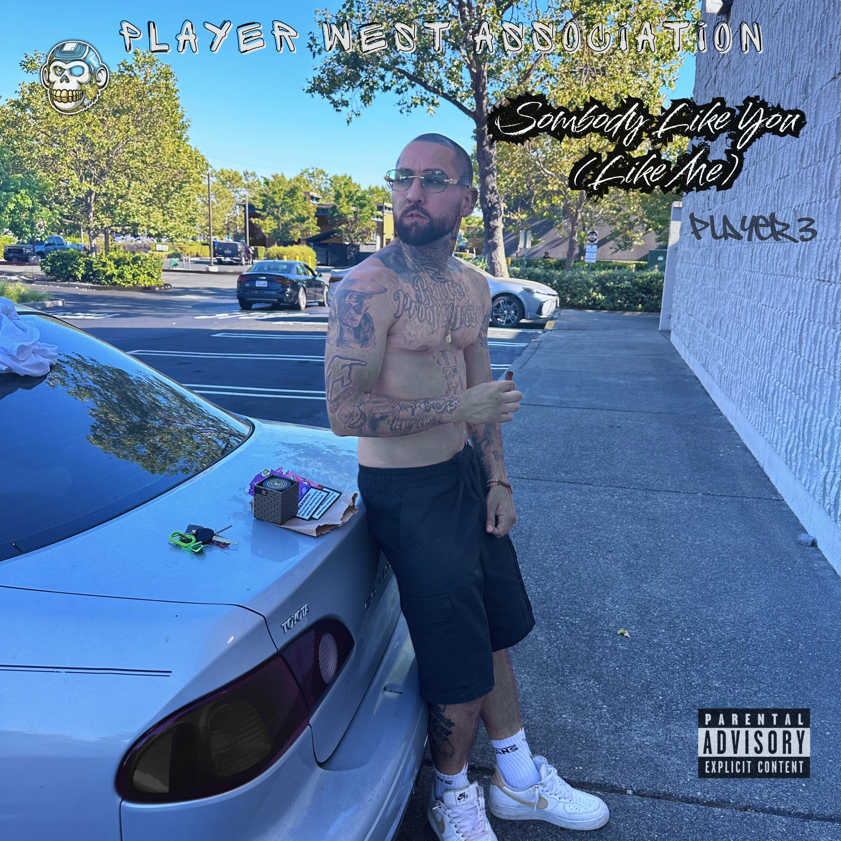 Sombody Like You (Like Me) artwork