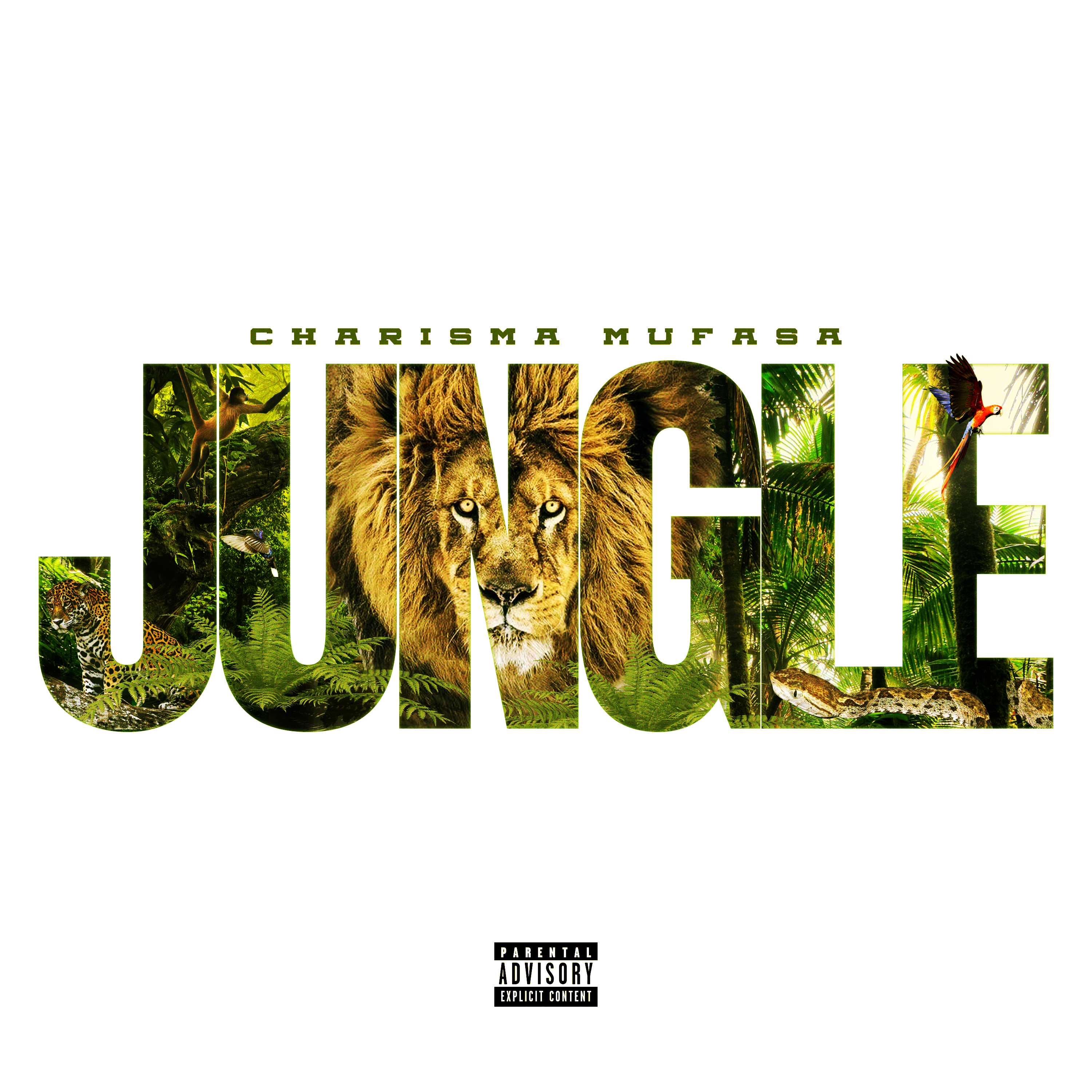Jungle artwork