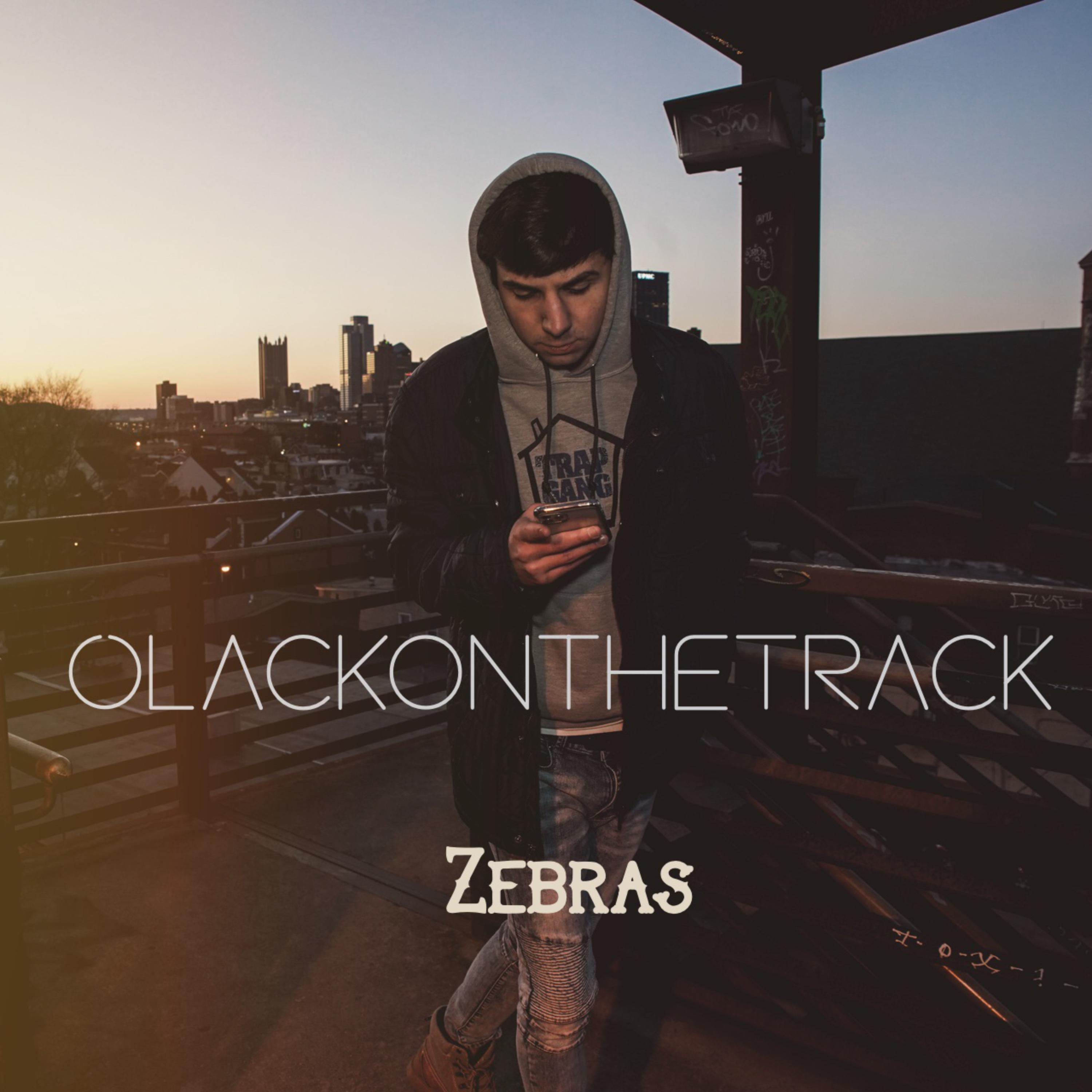 Zebras by Olack On The Track cover art