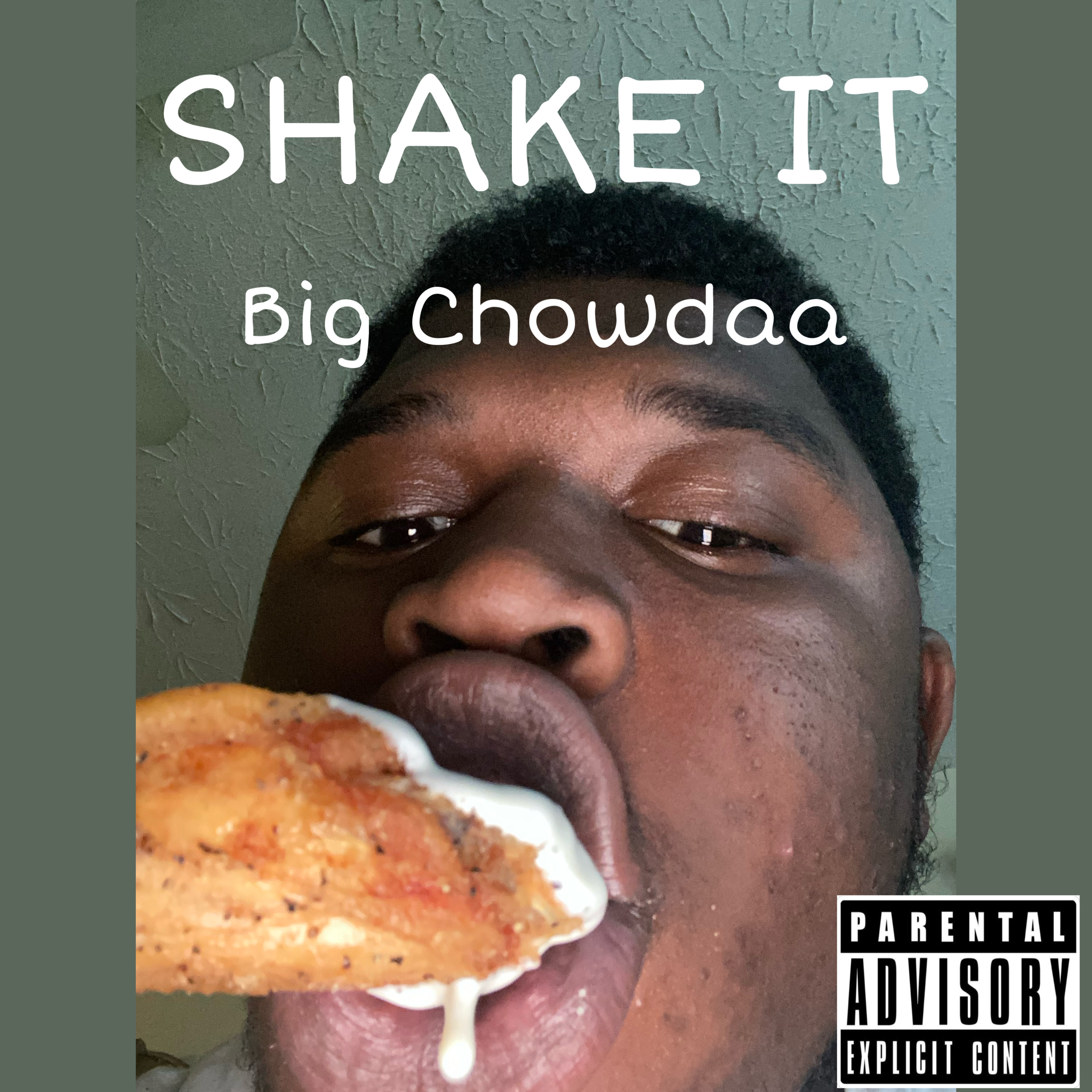 SHAKE IT artwork