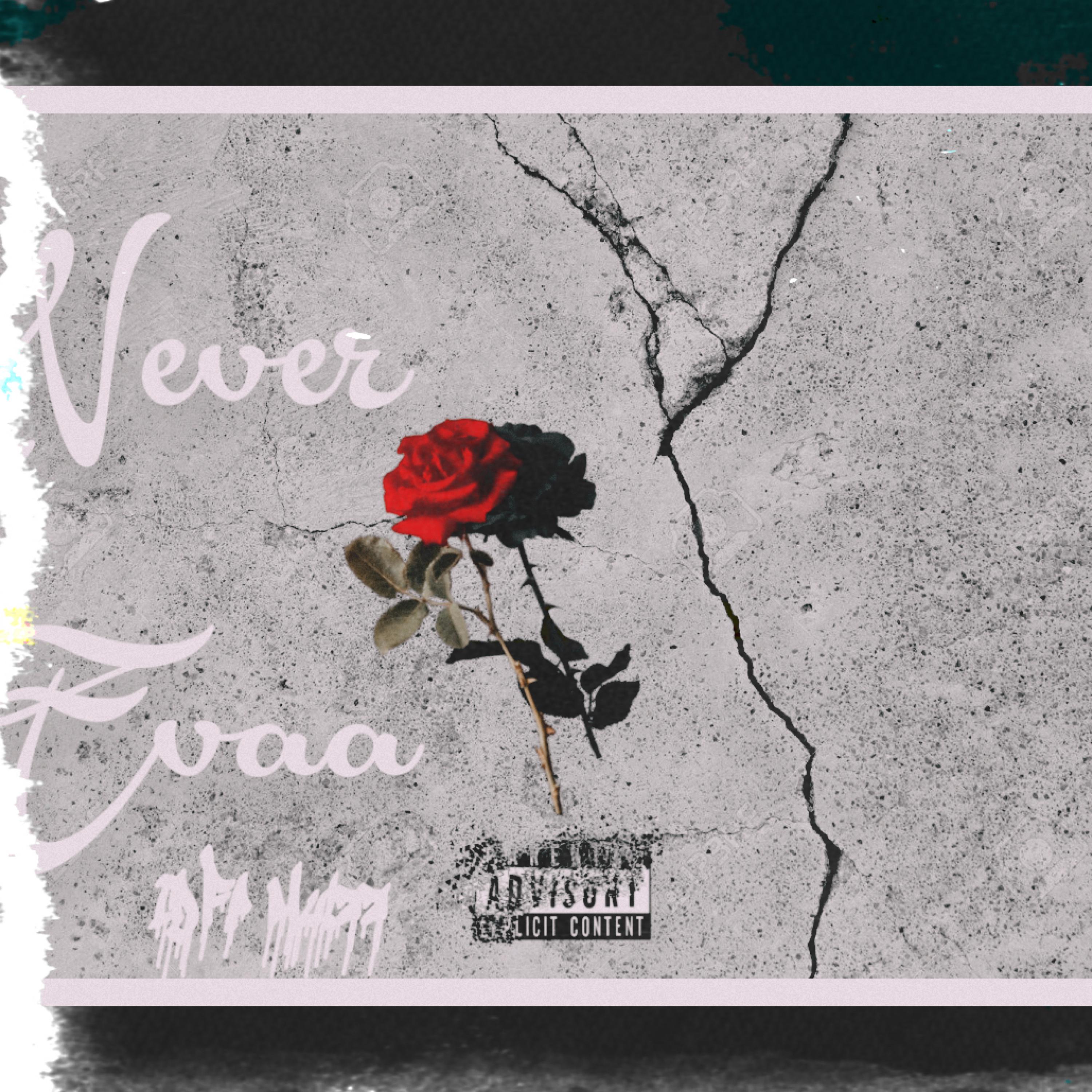 Never Evaa by IDFP Mulaa cover art