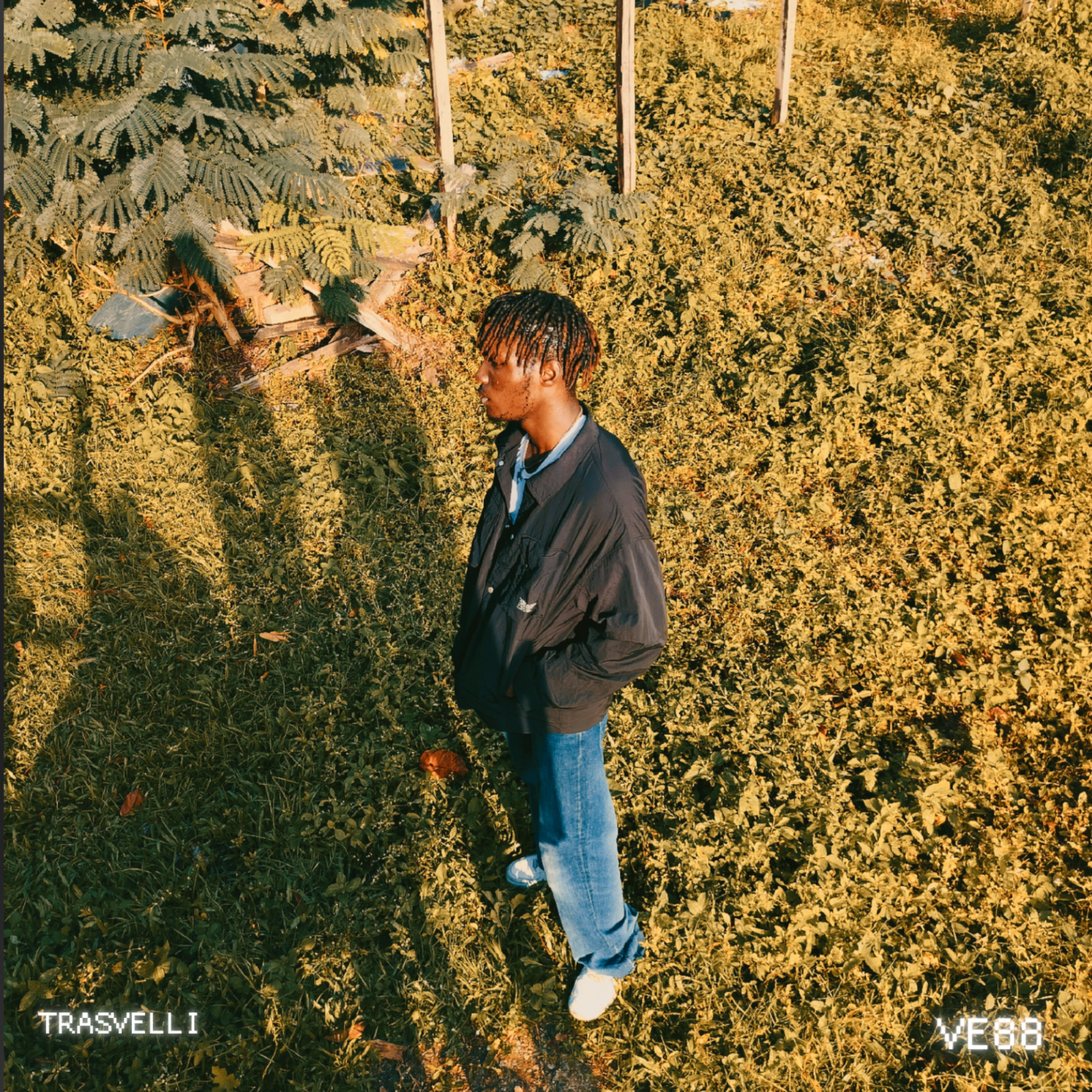 VE88 by TRASVELLI cover art