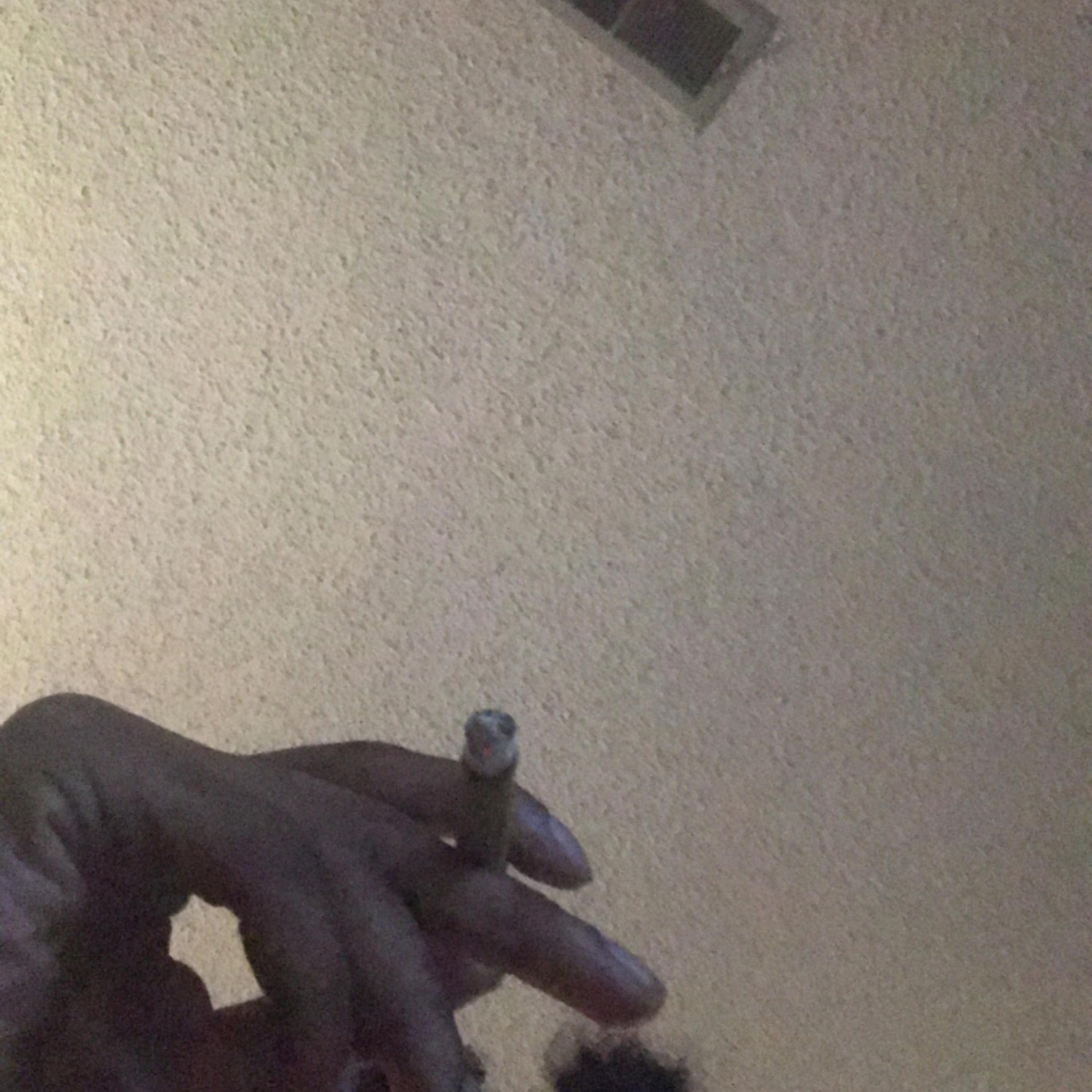 Hotboys artwork