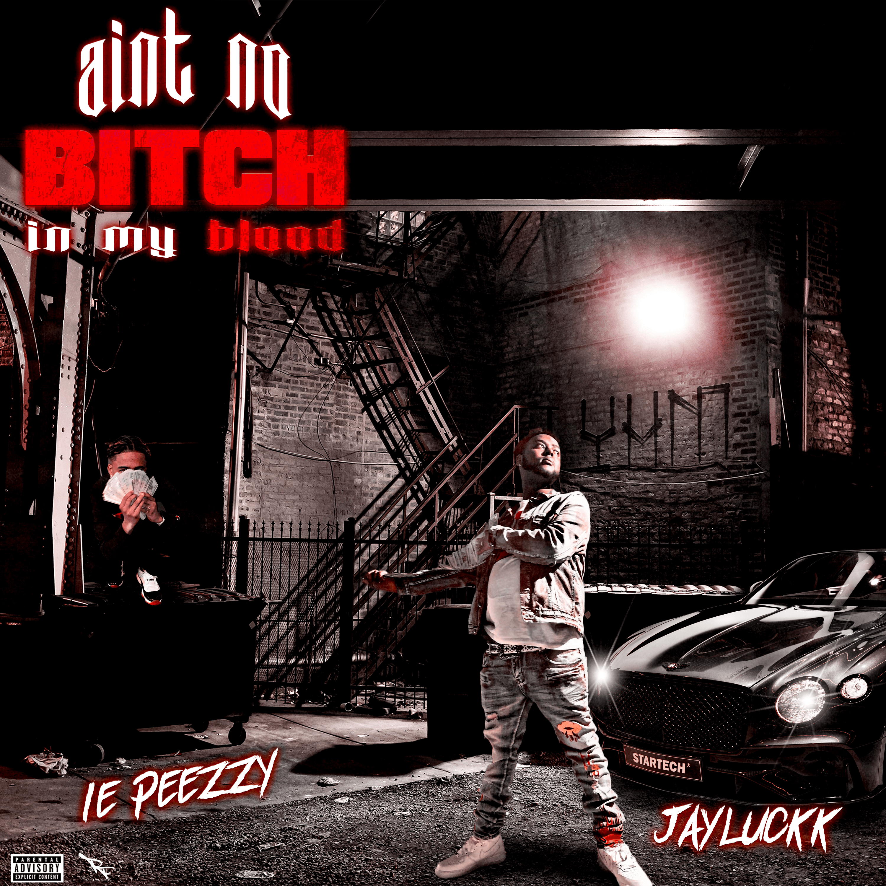 Aint No Bitch In My Blood artwork