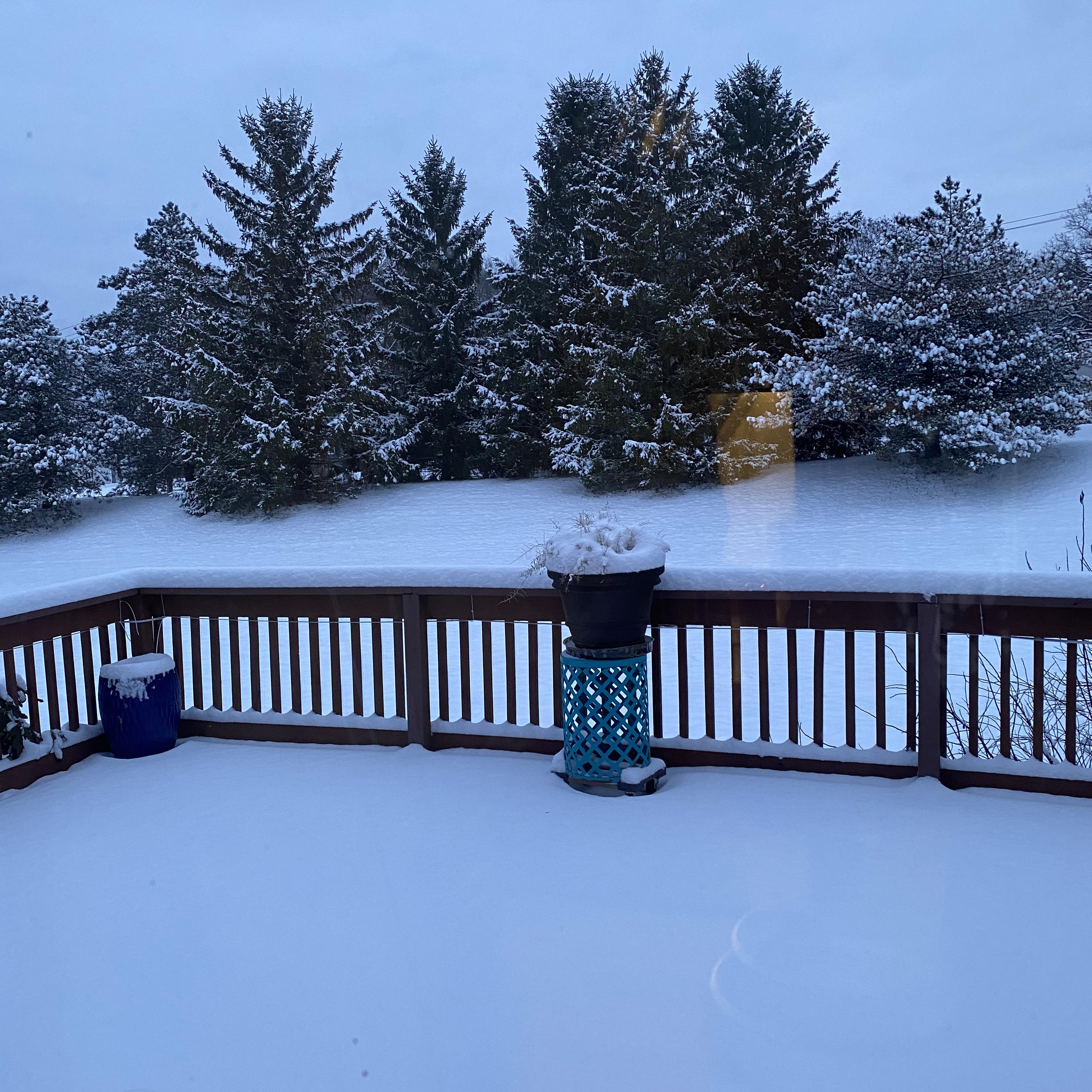 Shotta by CJR cover art
