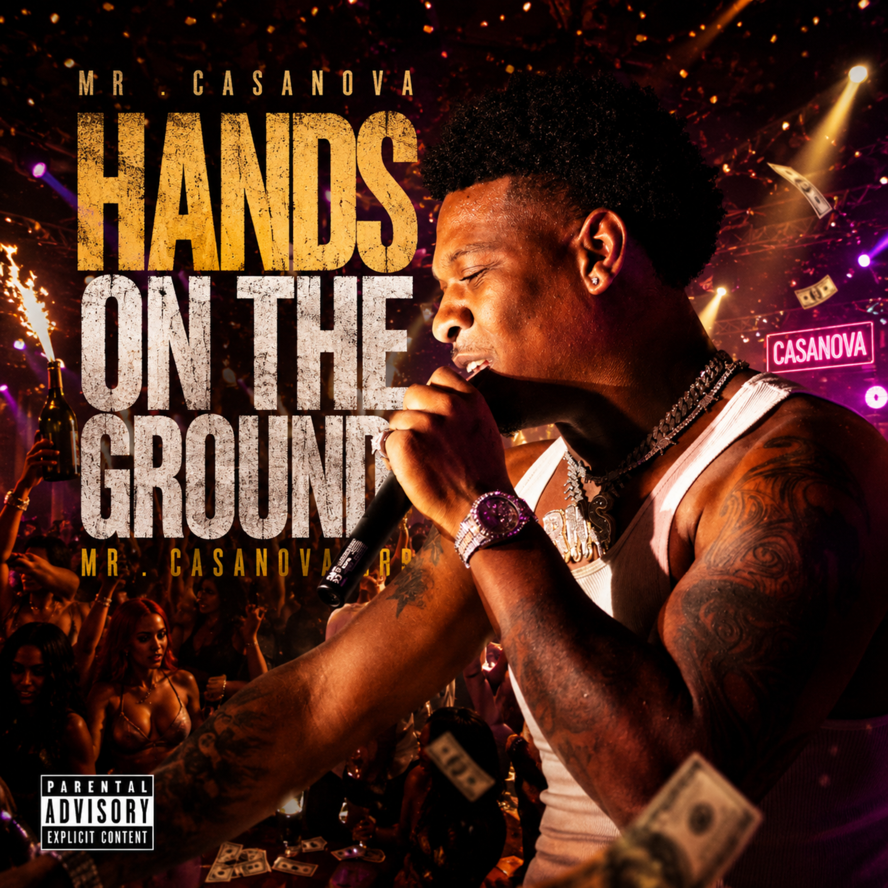 HANDS ON THE GROUND by Mr Casanova cover art