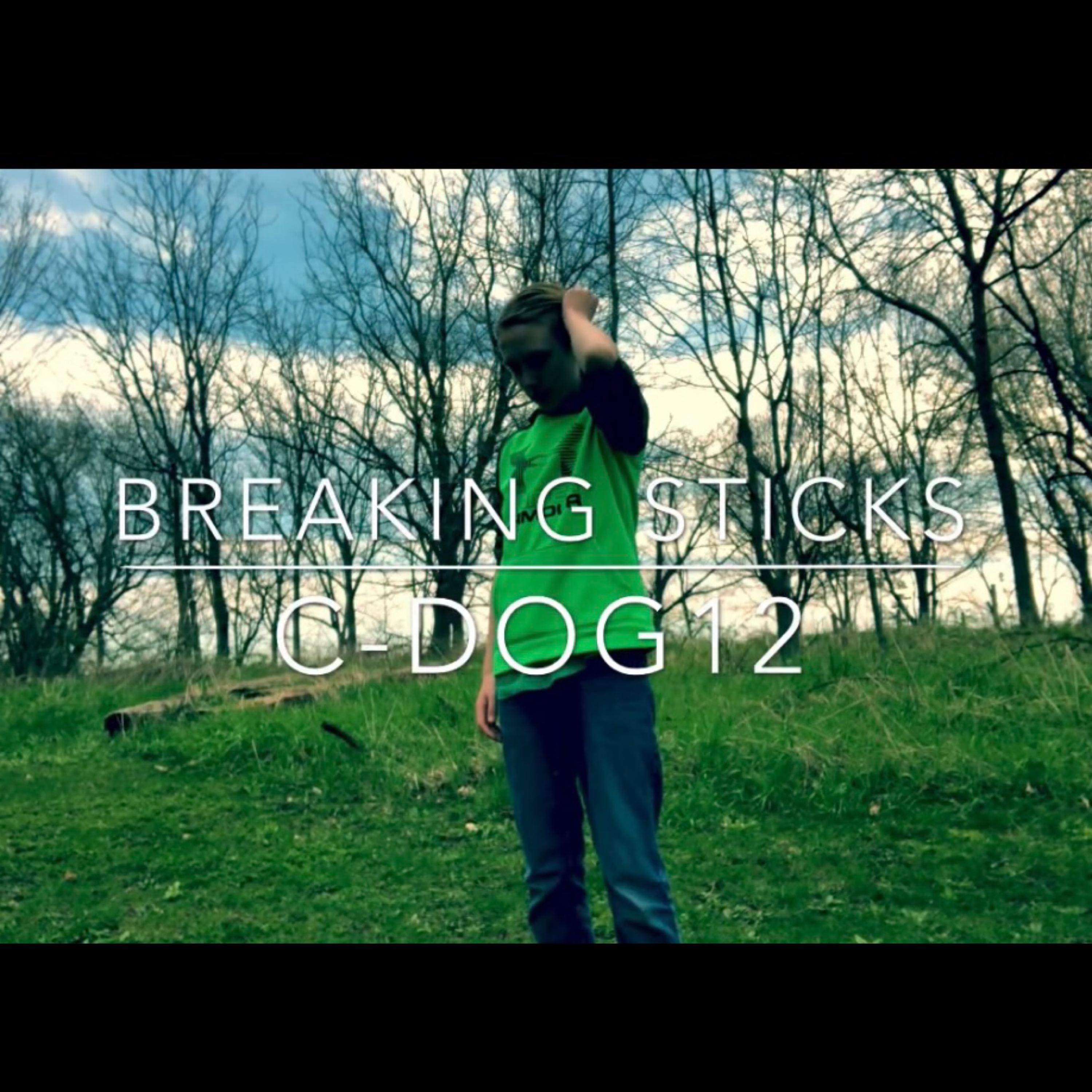 Breaking Sticks artwork
