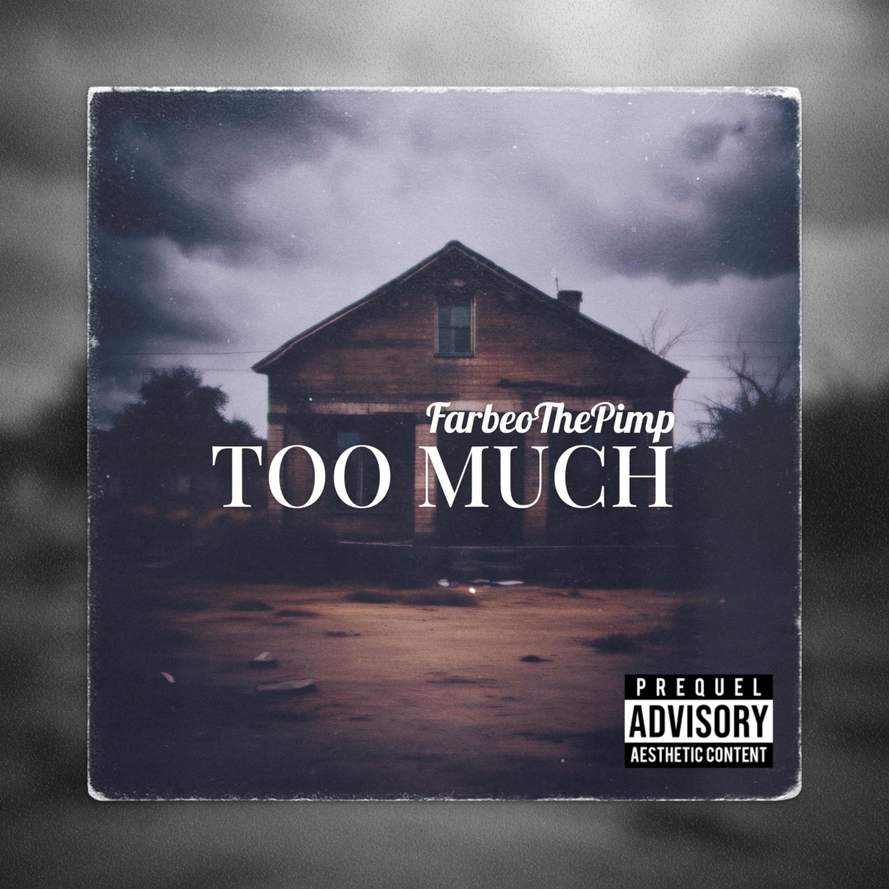 TOO MUCH by Farbeo_the_pimp cover art