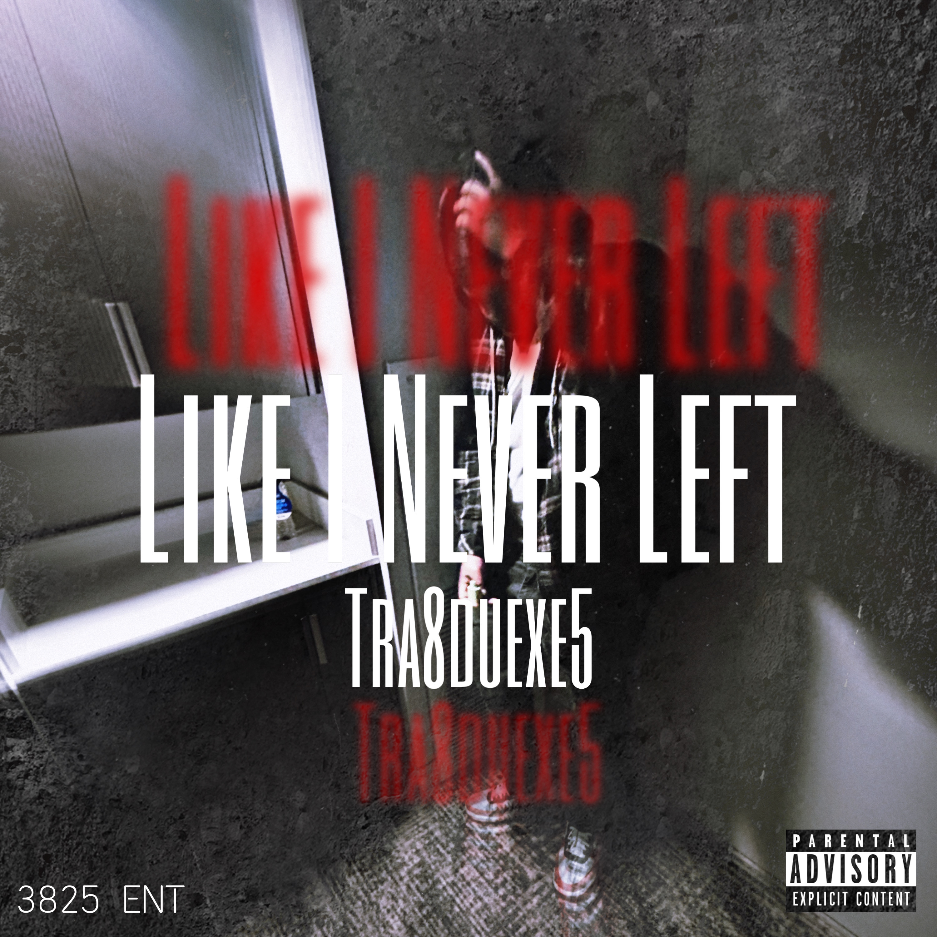 Like I Never Left artwork