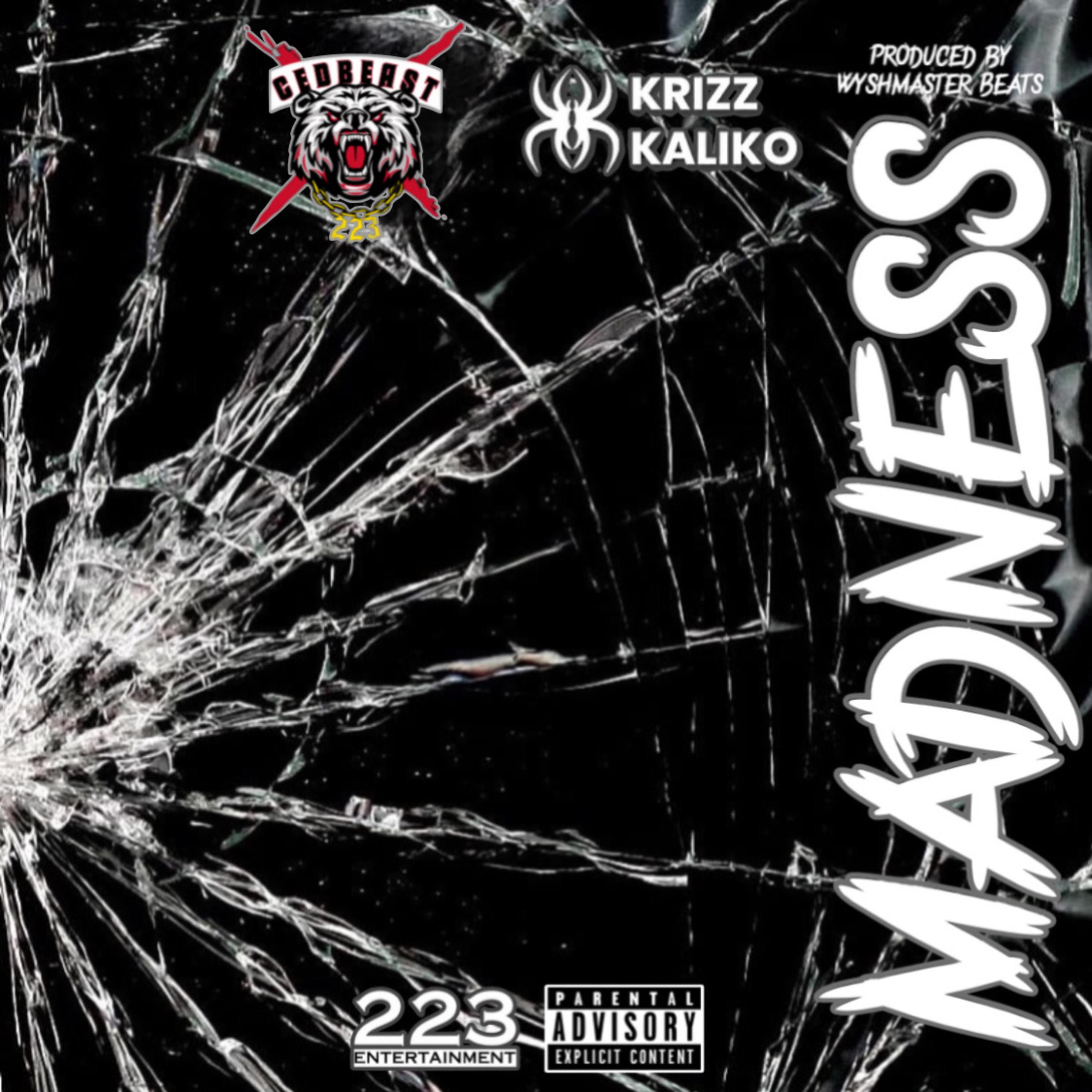 MADNESS artwork
