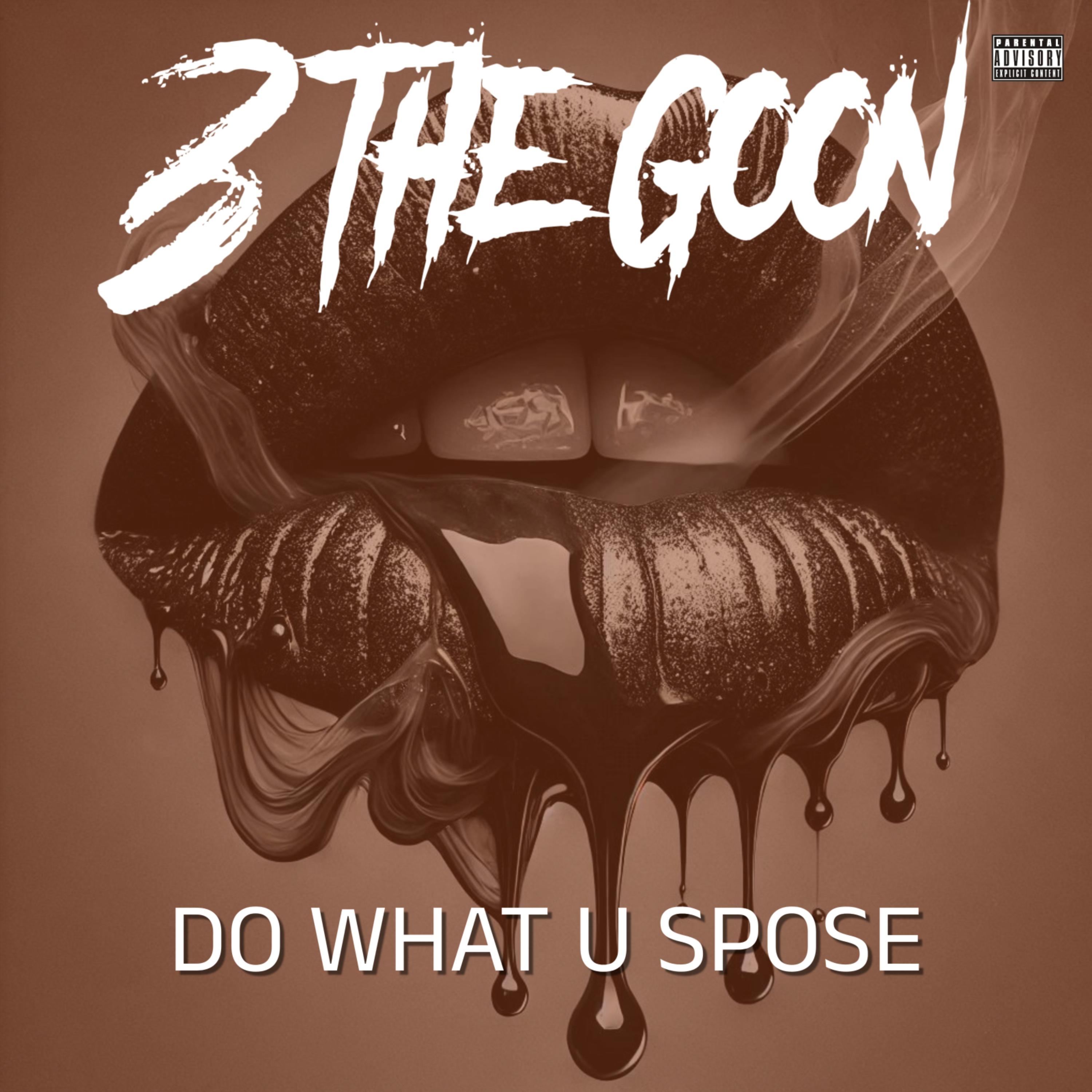 Do What U Spose artwork