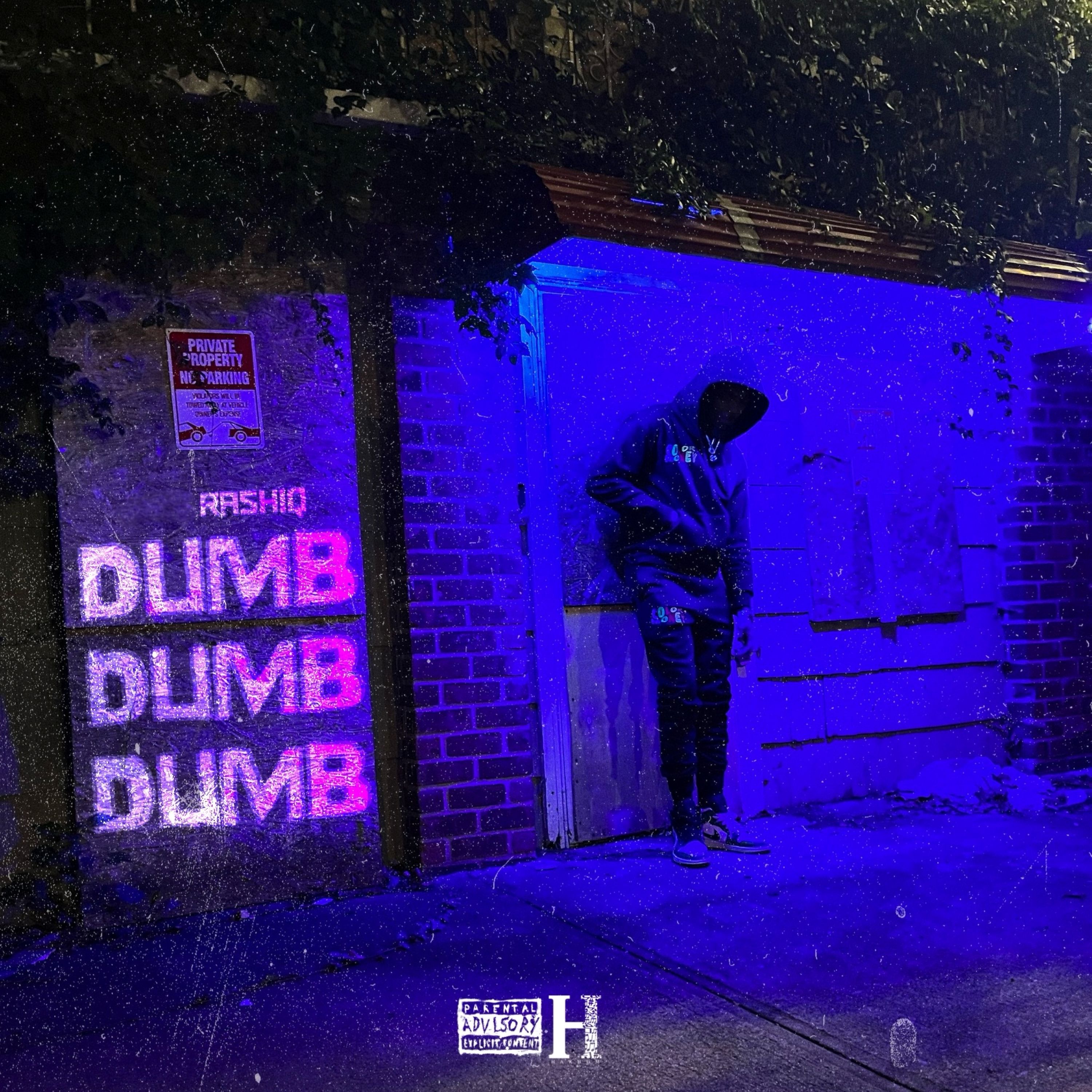 DUMB DUMB DUMB artwork