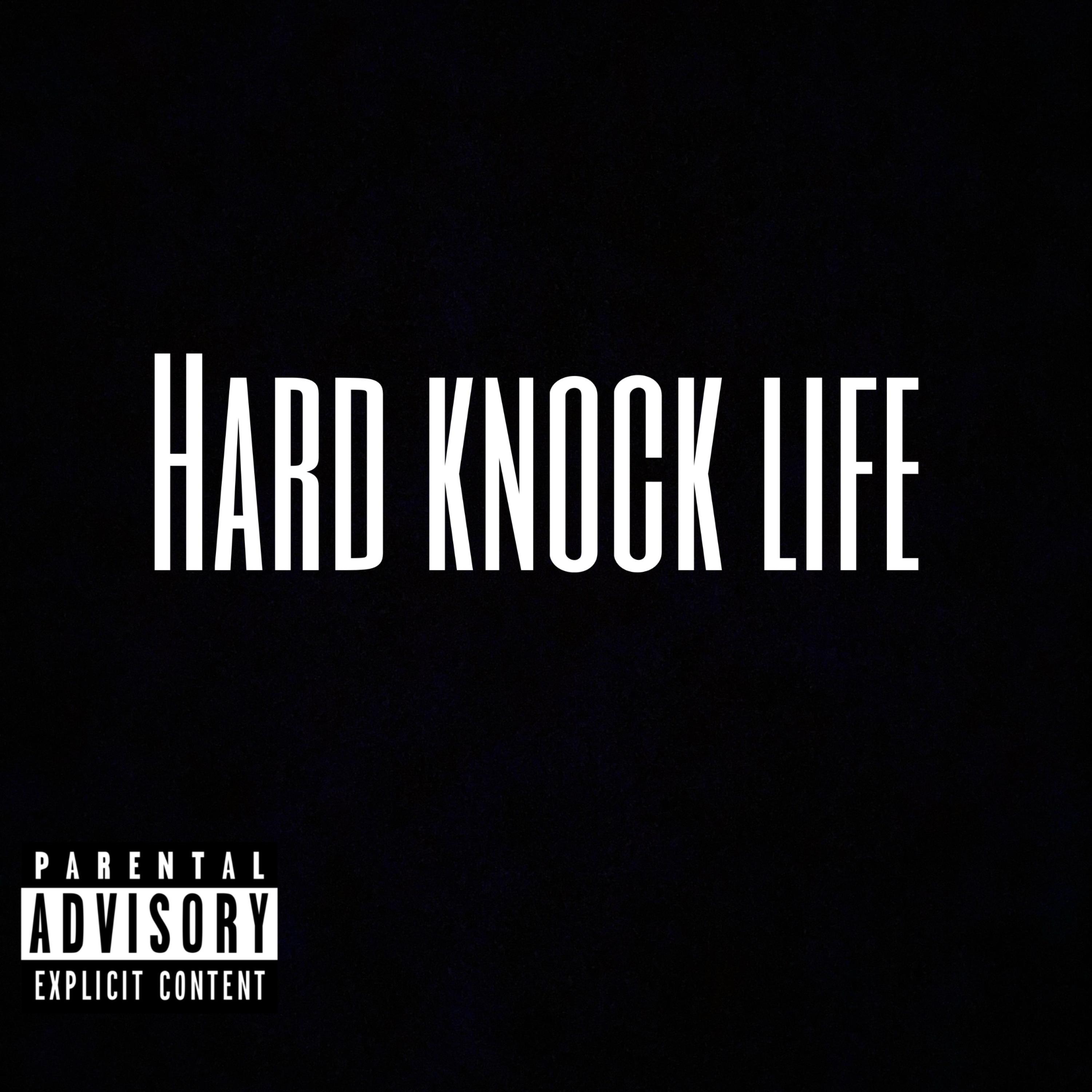 Hard Knock Life artwork