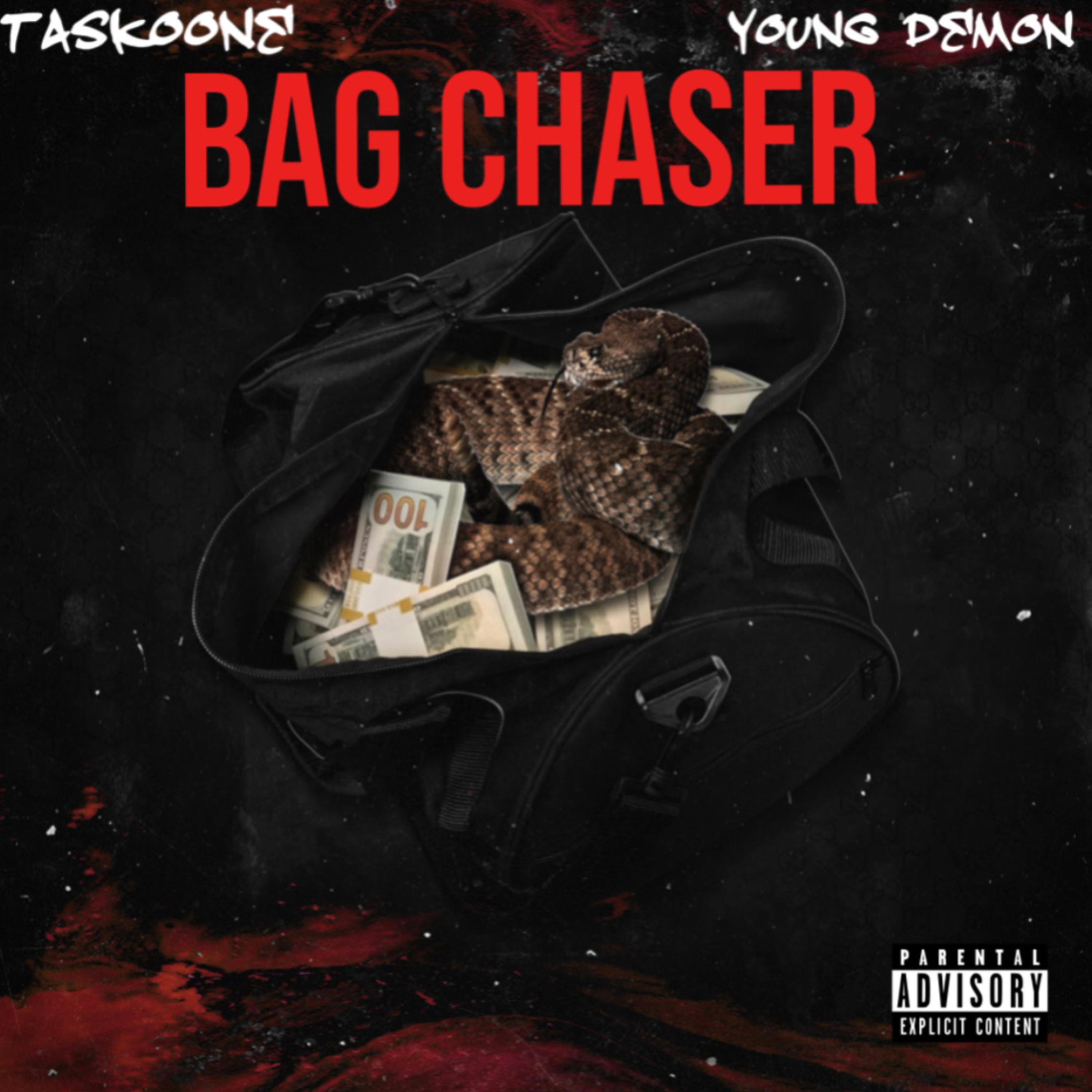 Bag Chaser artwork