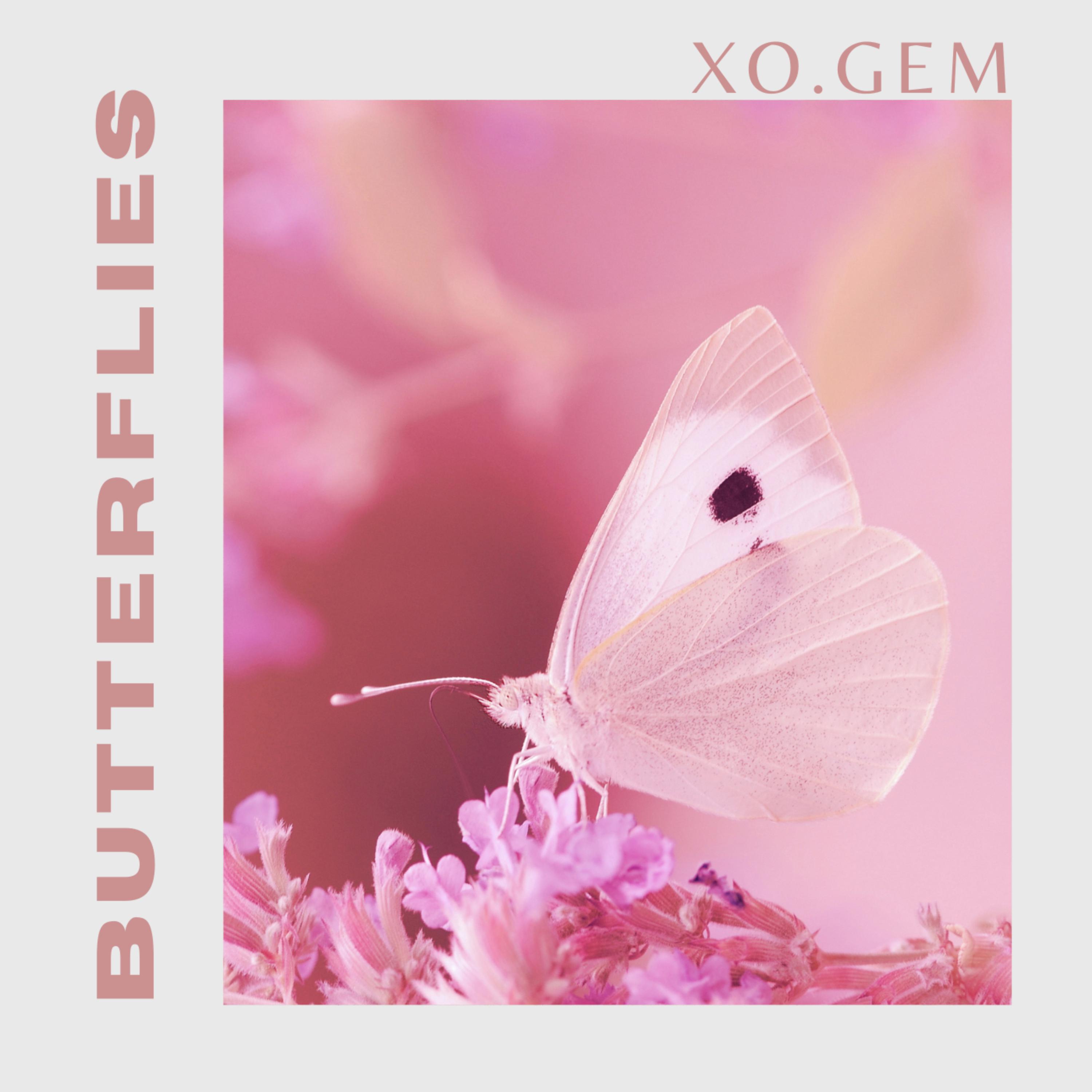 Butterflies artwork