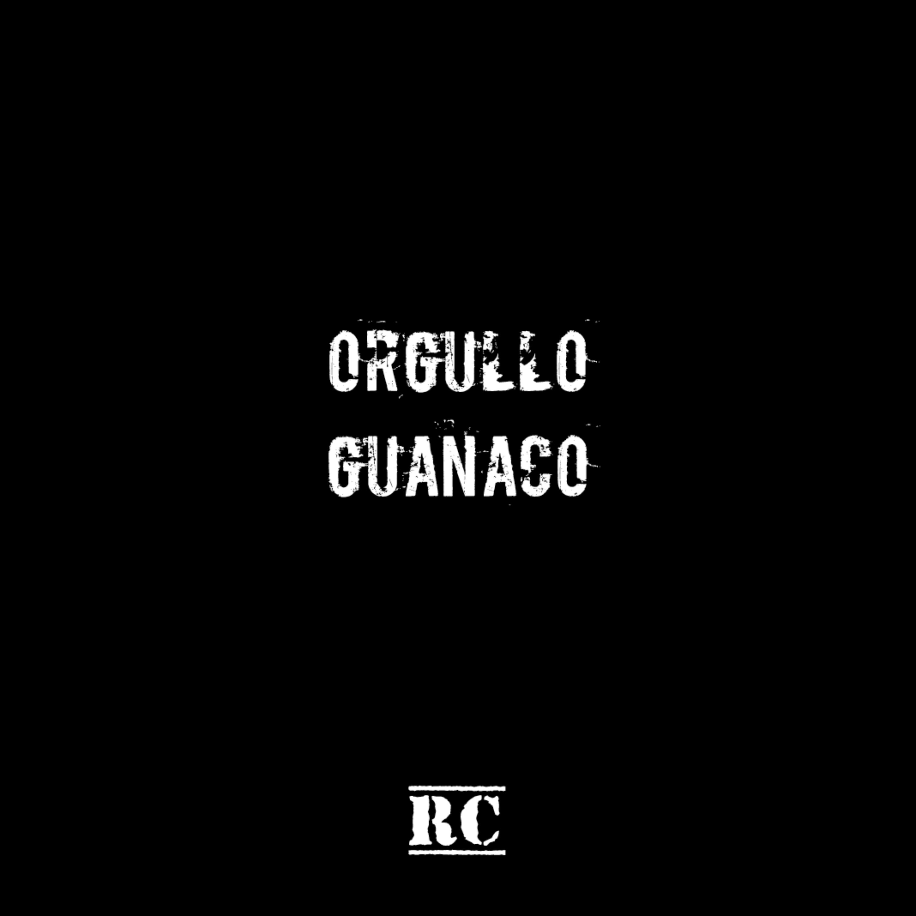 Orgullo Guanaco artwork